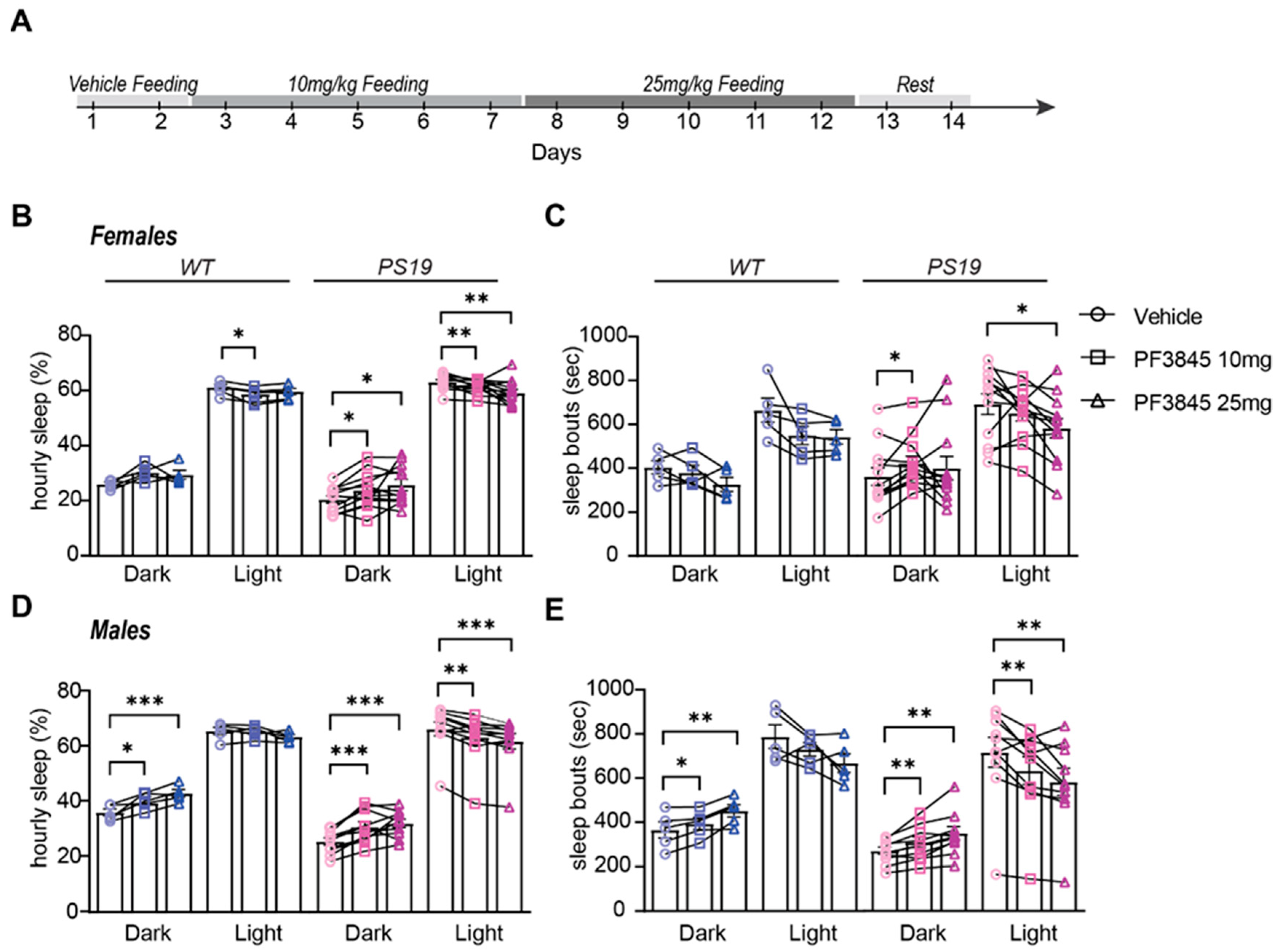 Pharmaceuticals 17 00319 g003