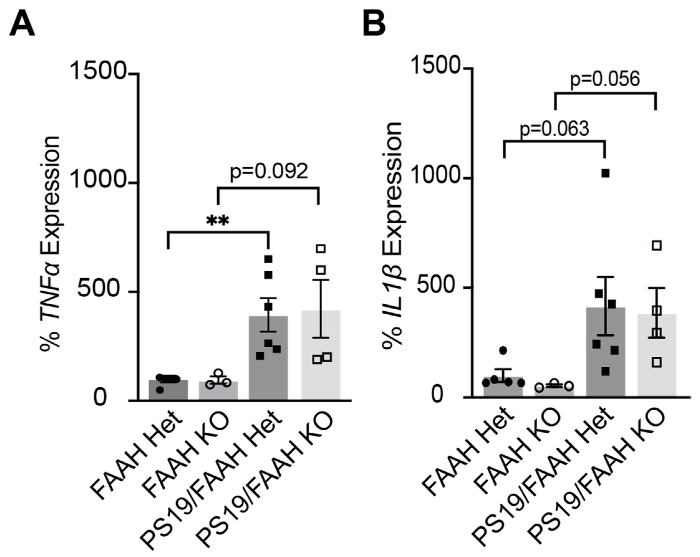 Pharmaceuticals 17 00319 g006