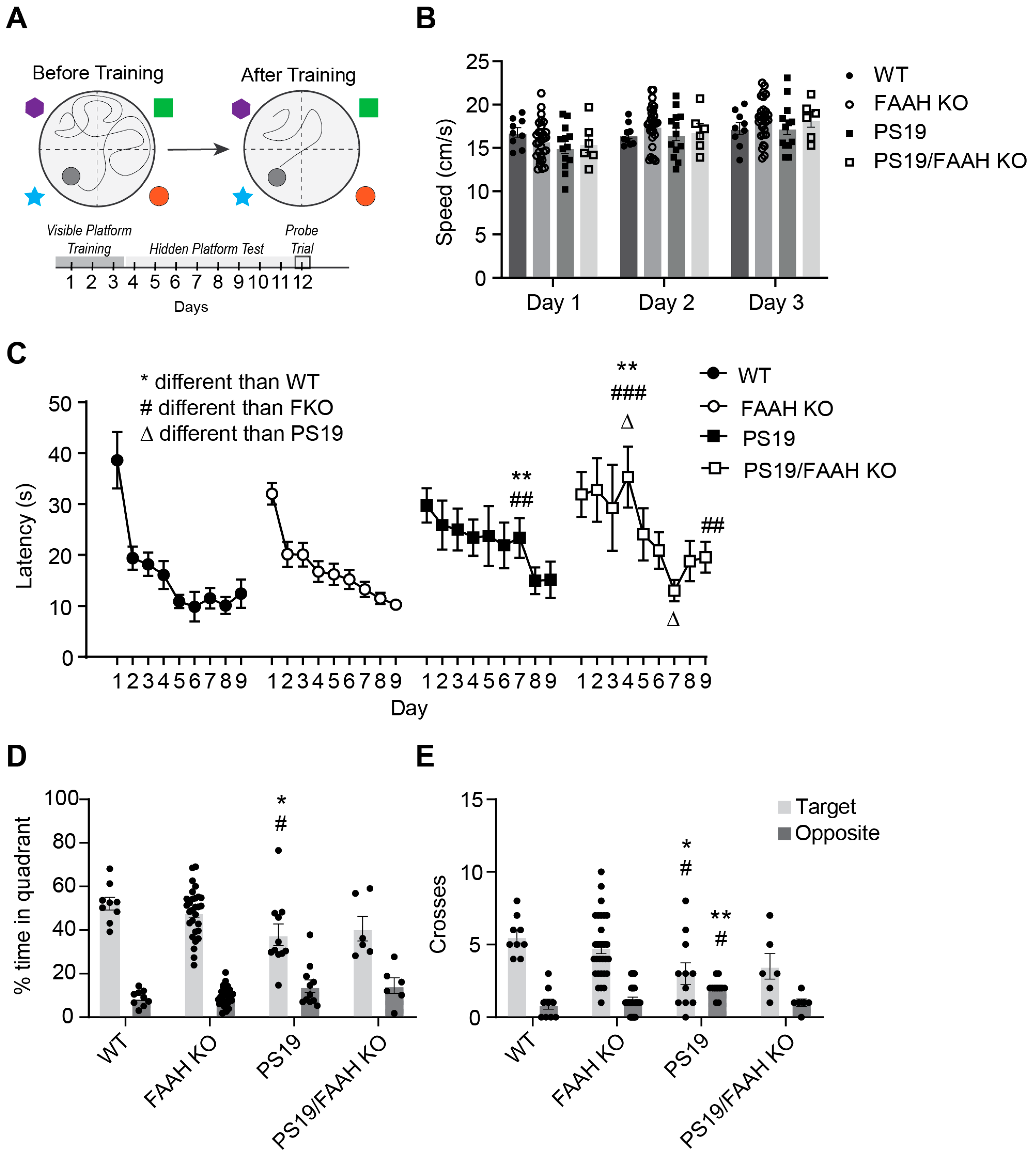 Pharmaceuticals 17 00319 g007