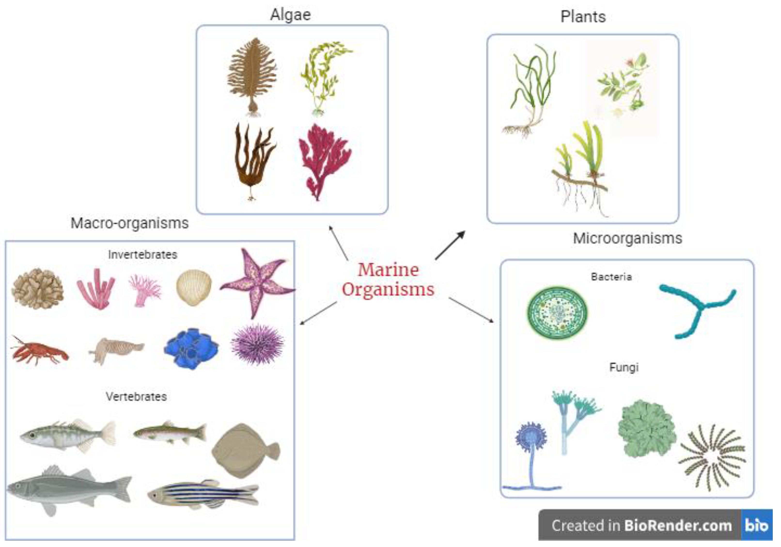 Pharmaceuticals 17 00328 g001 Pharmaceuticals 17 00328 g001