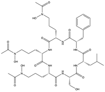 Pharmaceuticals 17 00328 i020 Pharmaceuticals 17 00328 i020