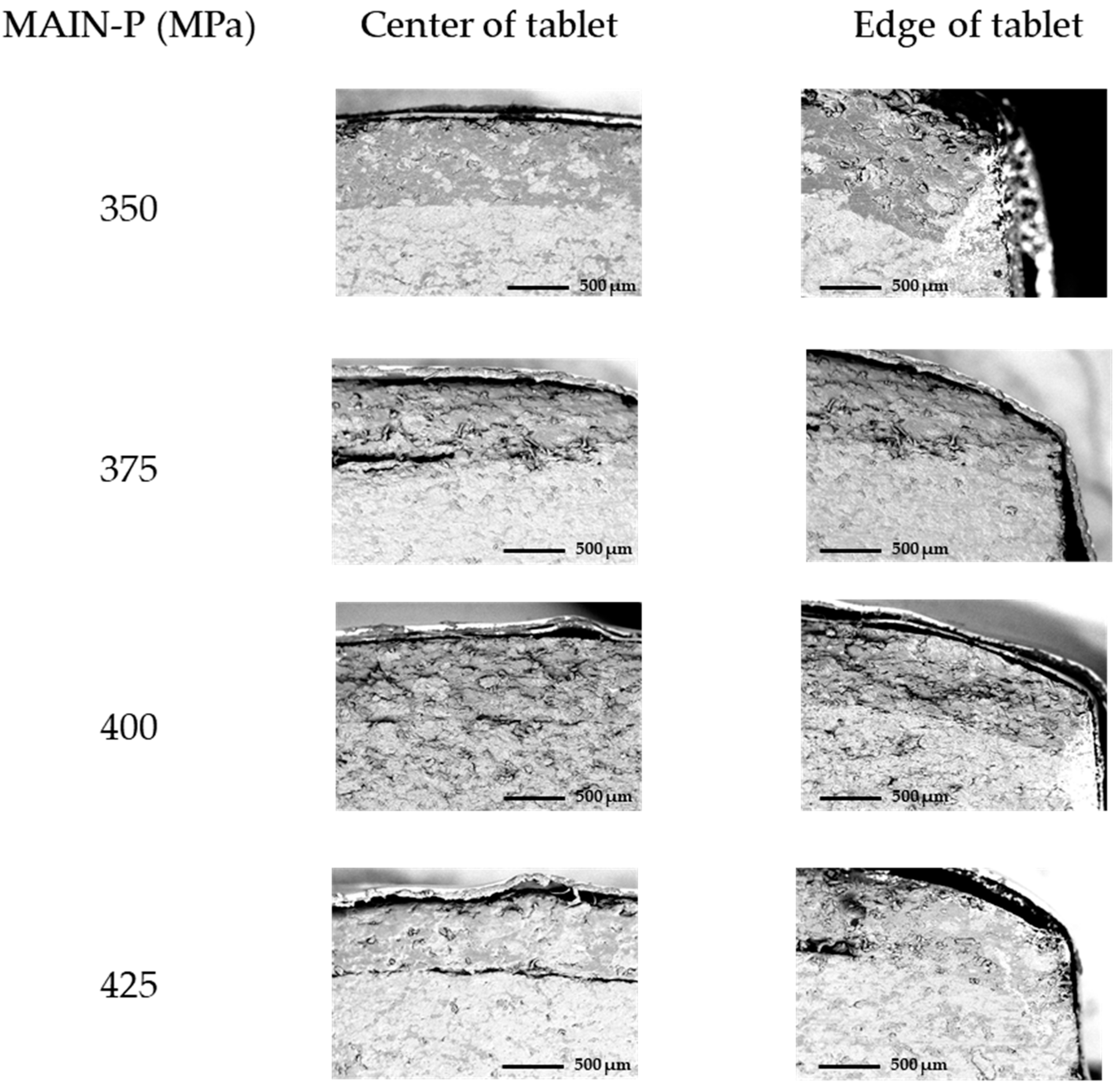 Pharmaceuticals 17 00330 g003