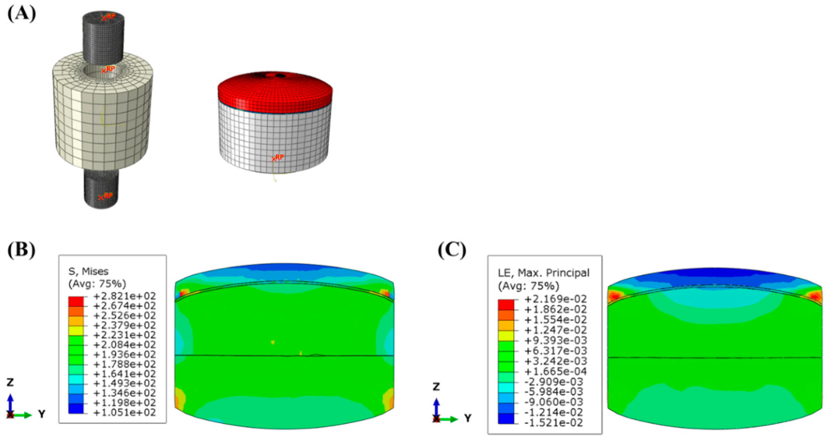 Pharmaceuticals 17 00330 g006