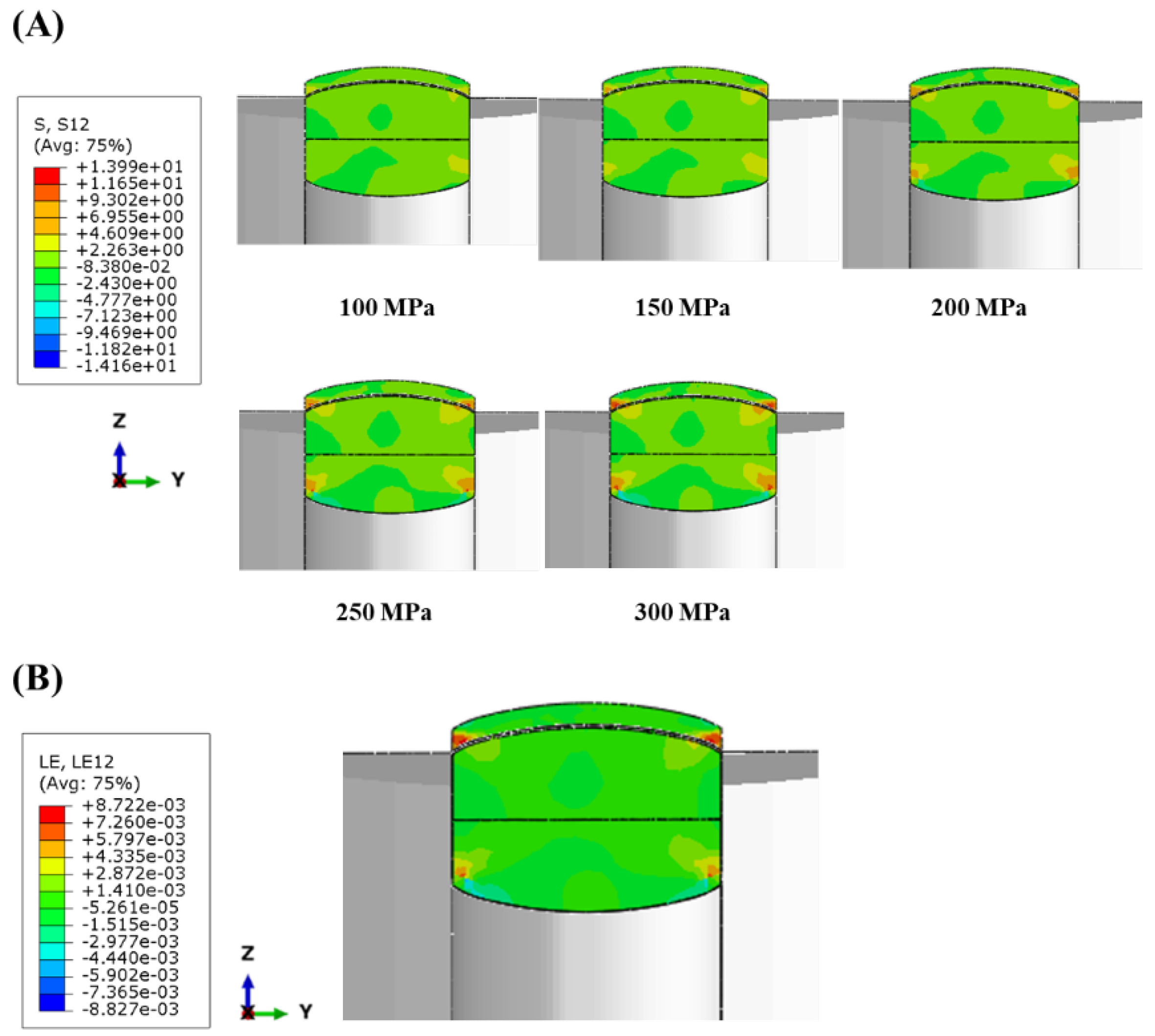 Pharmaceuticals 17 00330 g007