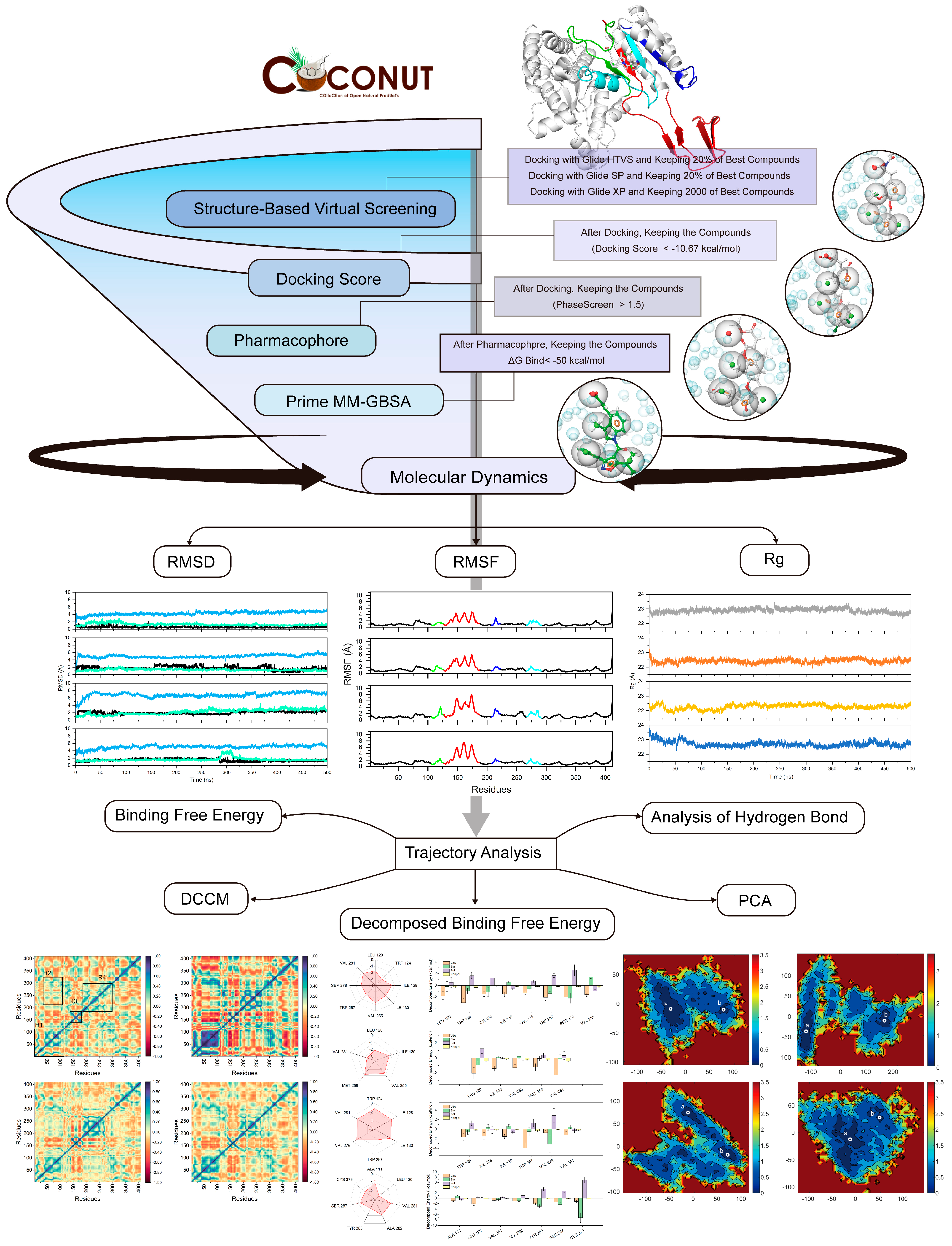 Pharmaceuticals 17 00336 g001
