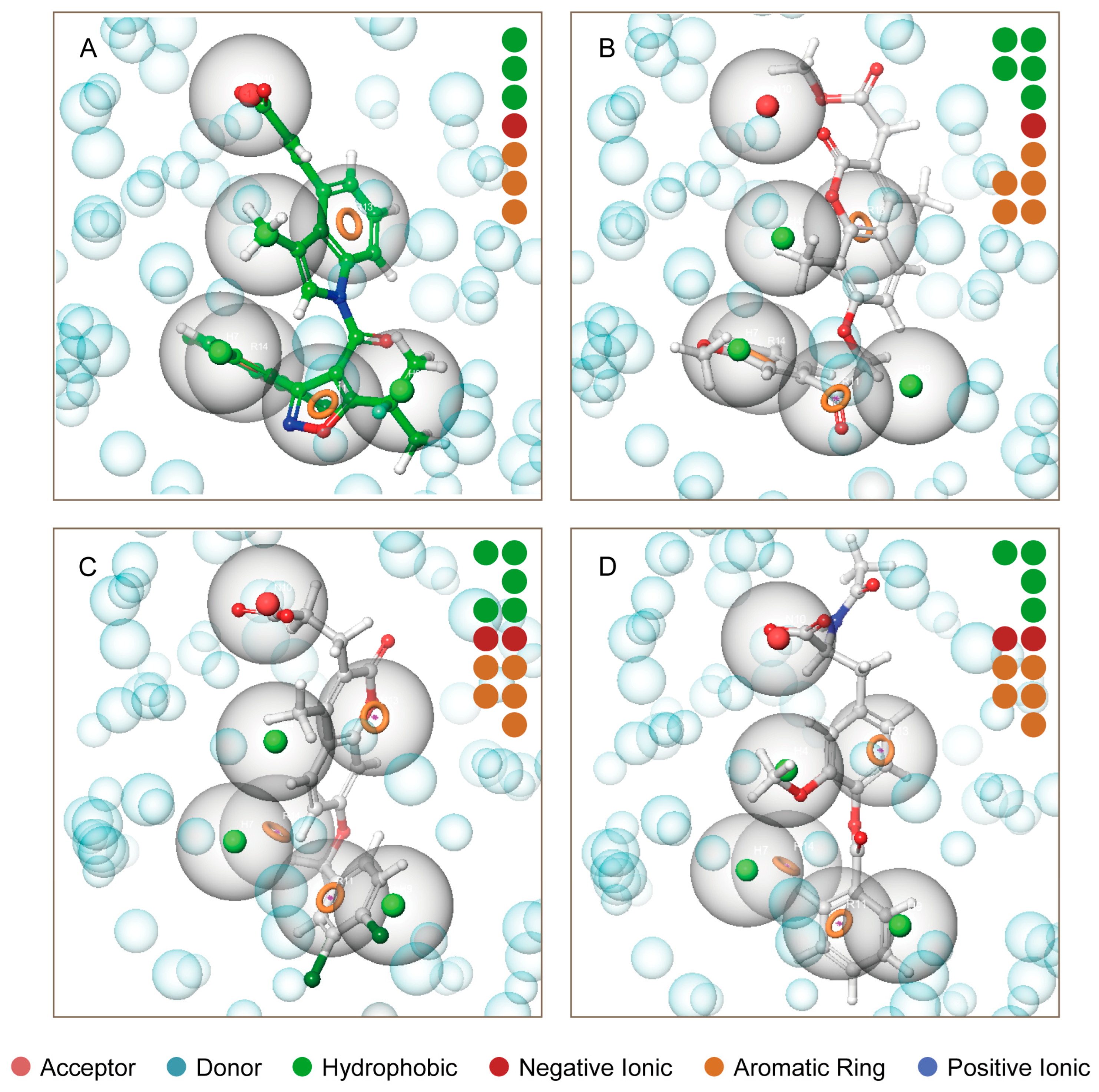 Pharmaceuticals 17 00336 g003