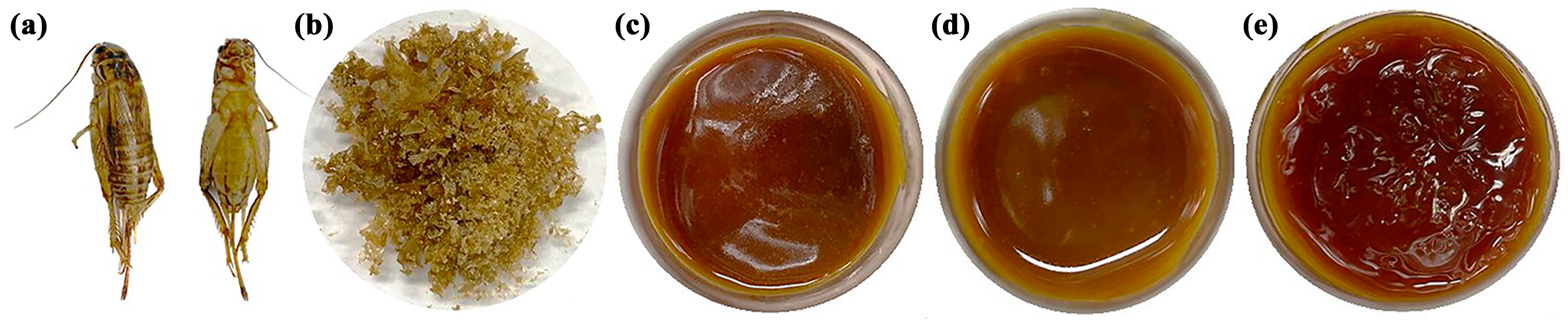 Pharmaceuticals 17 00346 g001