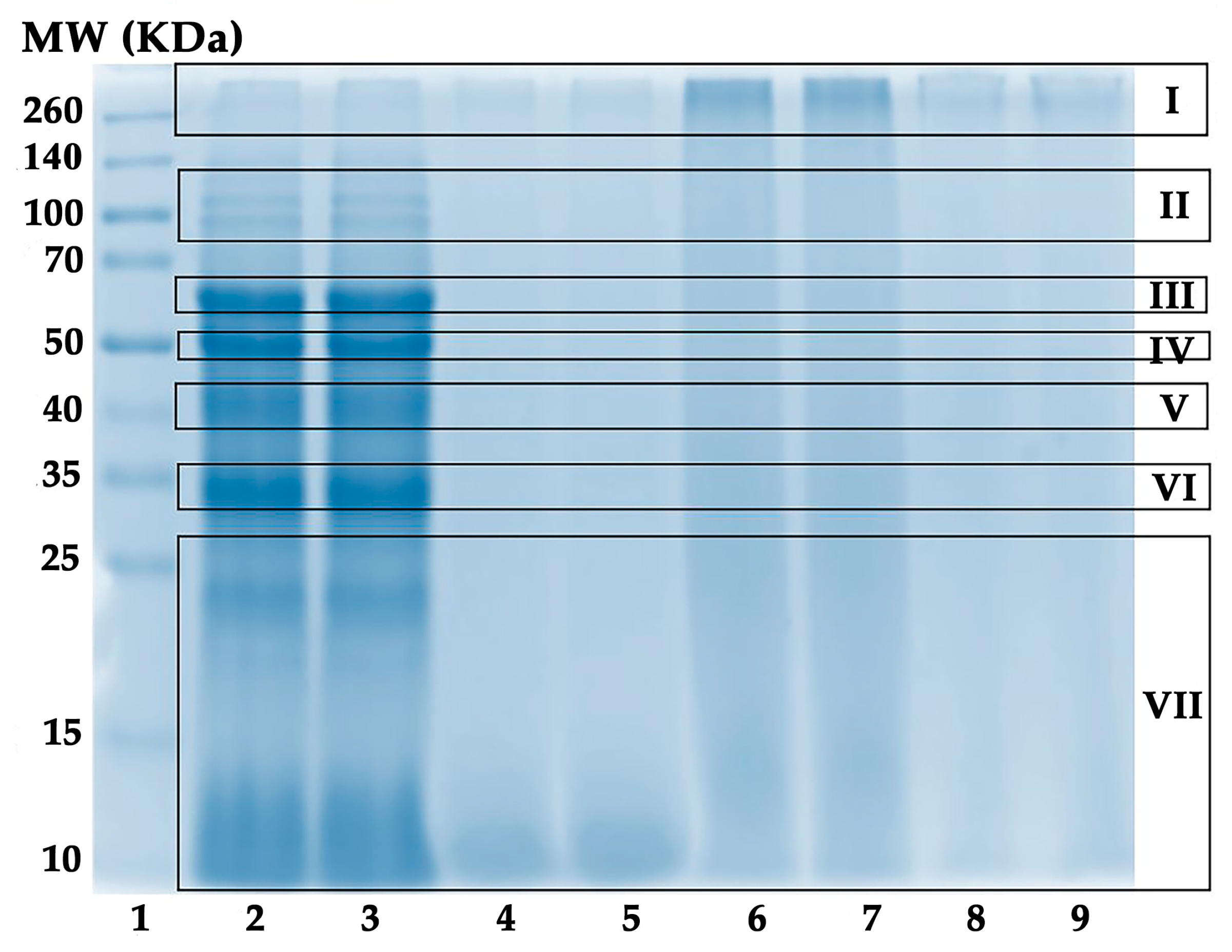 Pharmaceuticals 17 00346 g003