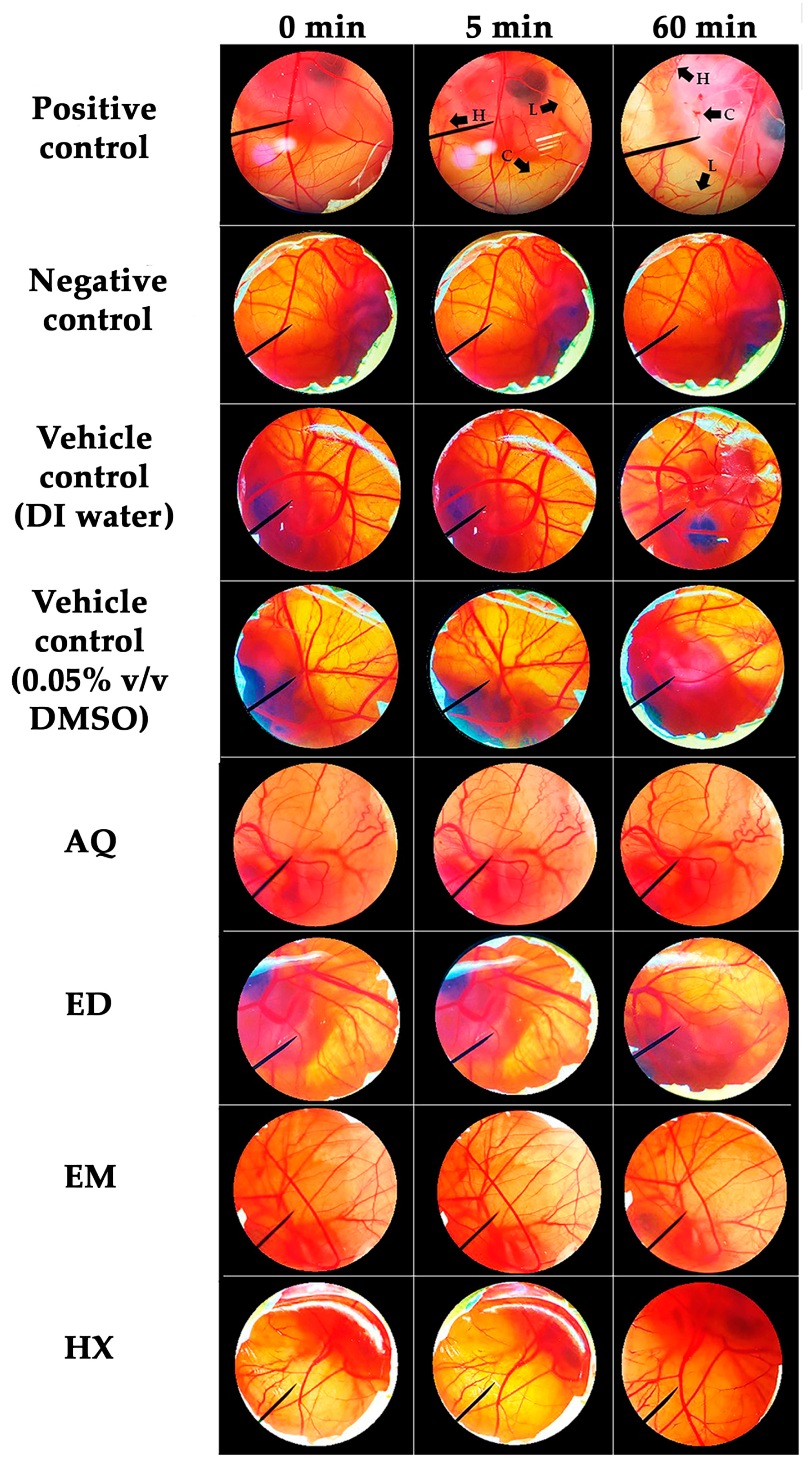 Pharmaceuticals 17 00346 g004