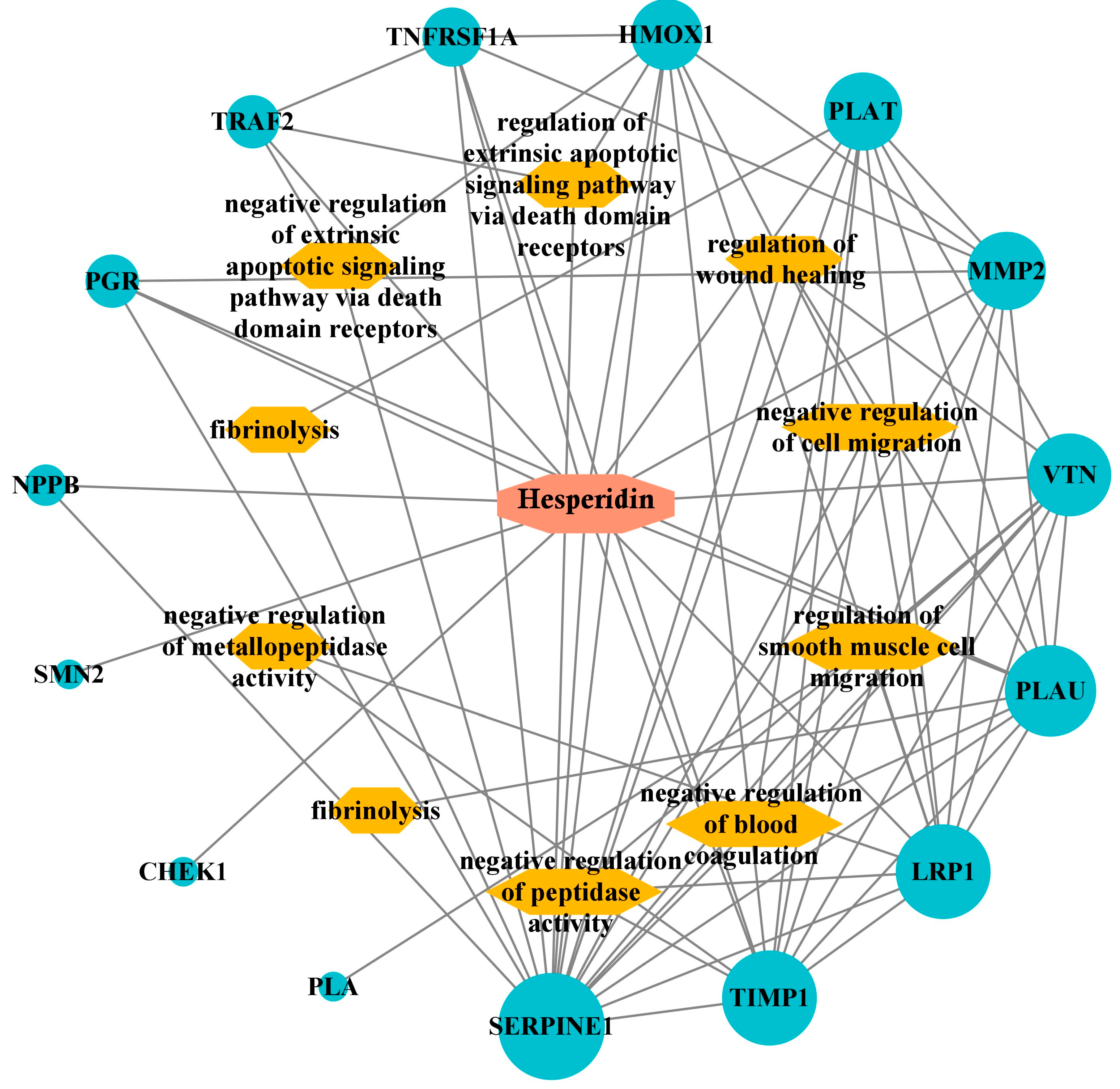 Pharmaceuticals 17 00348 g005