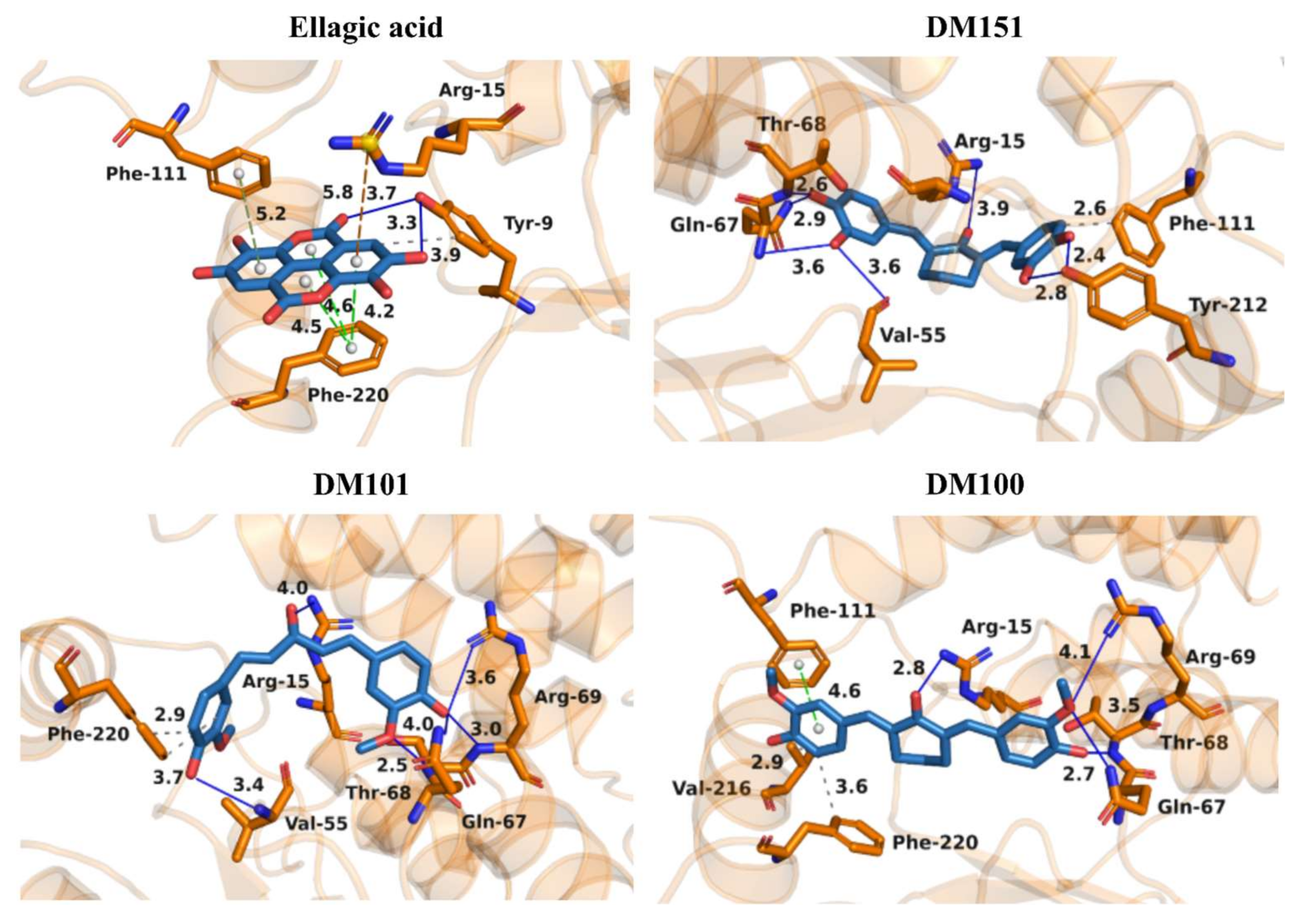 Pharmaceuticals 17 00365 g006