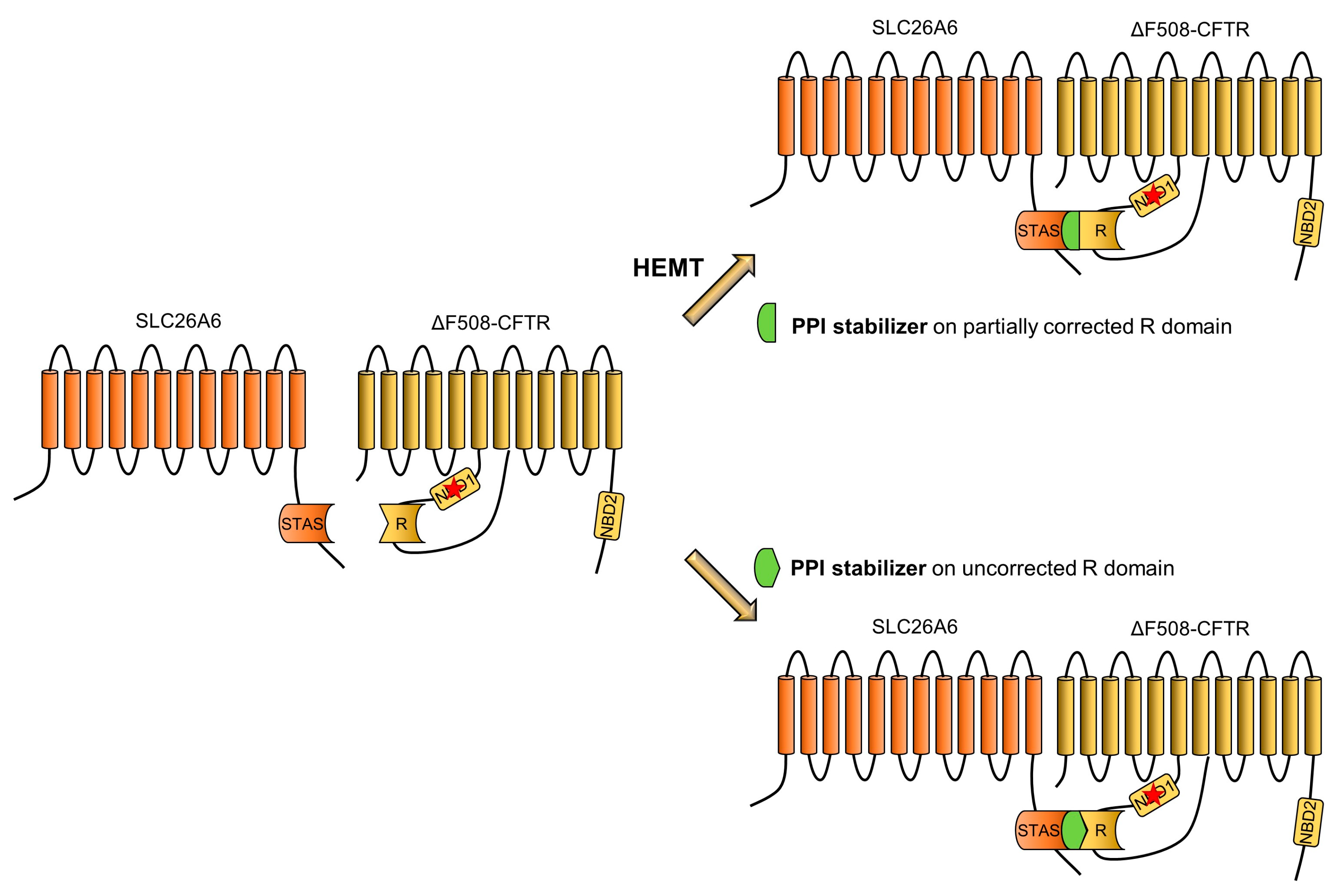 Pharmaceuticals 17 00367 g002