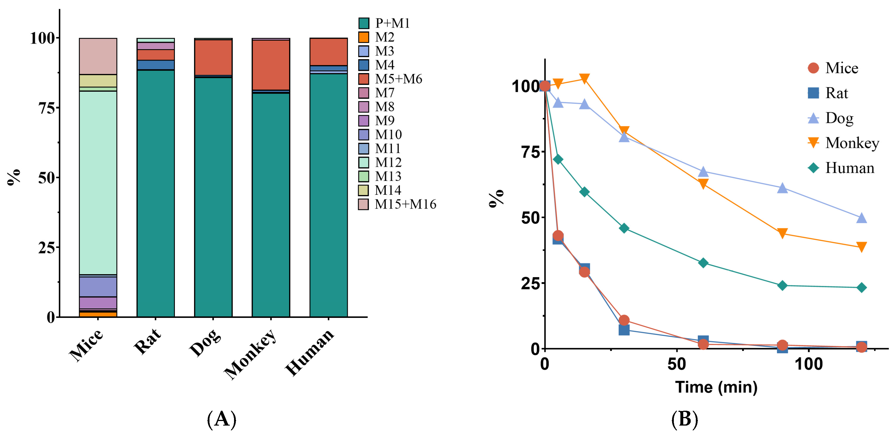 Pharmaceuticals 17 00369 g001