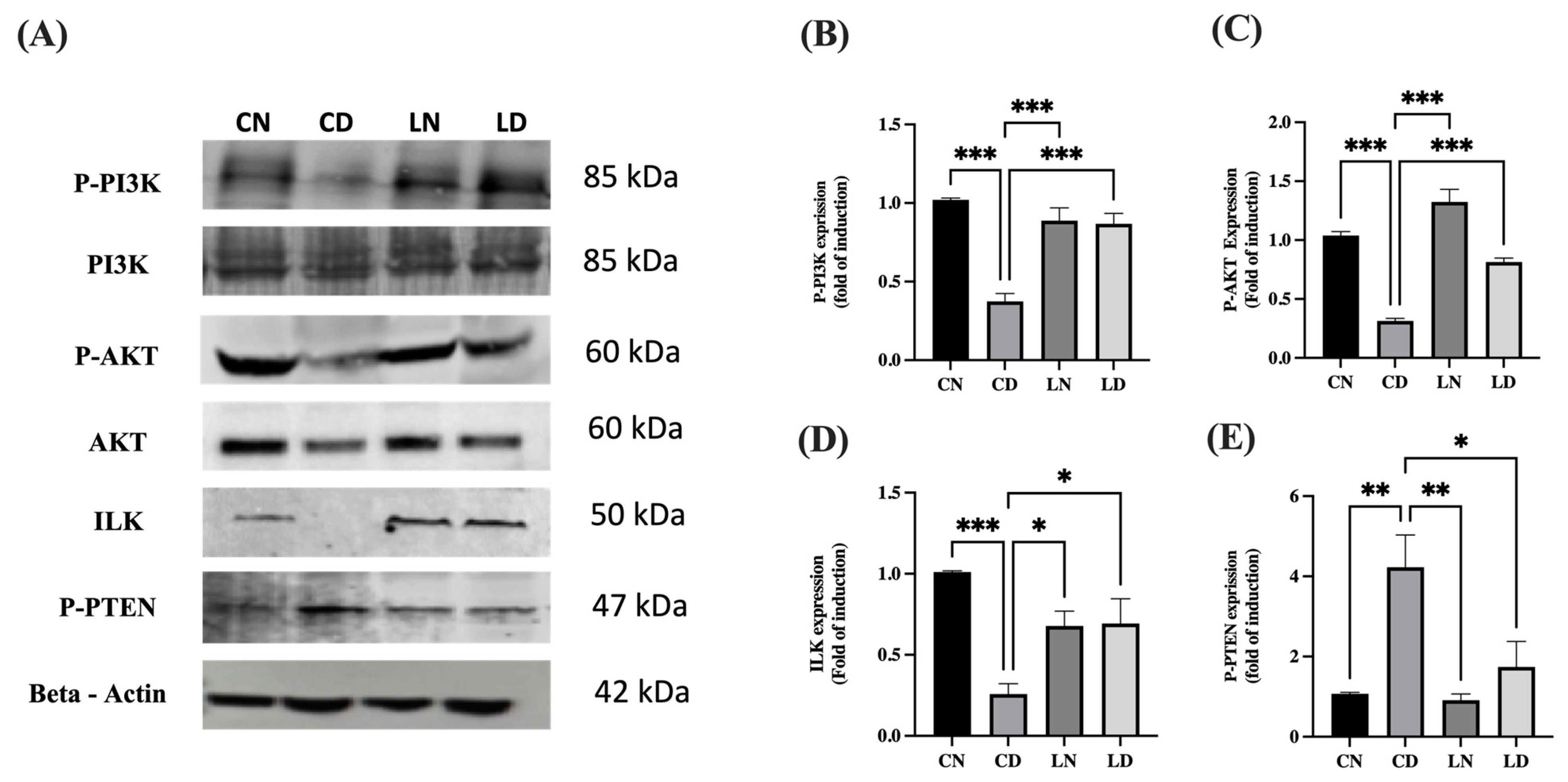 Pharmaceuticals 17 00374 g006