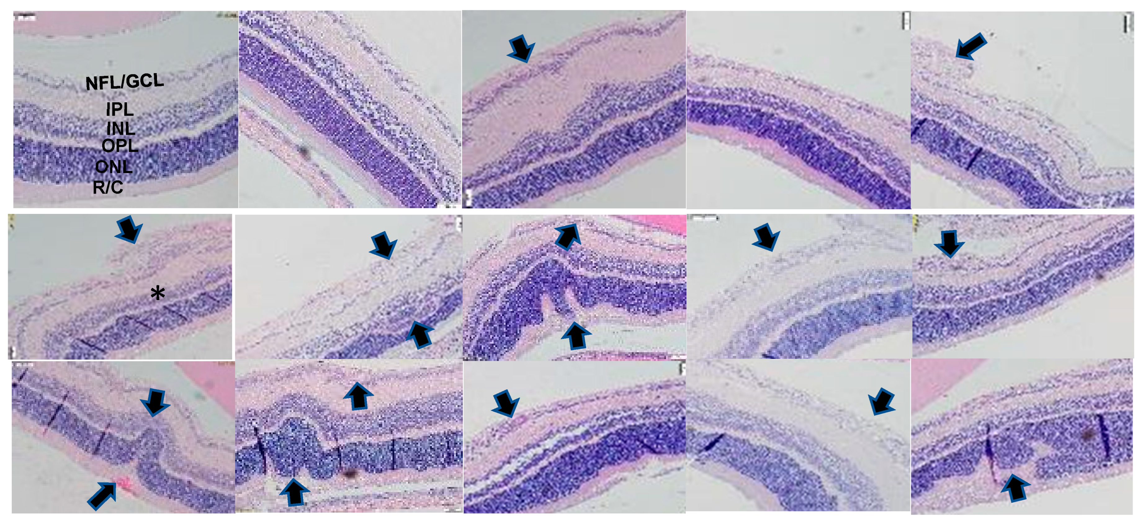 Pharmaceuticals 17 00381 g003
