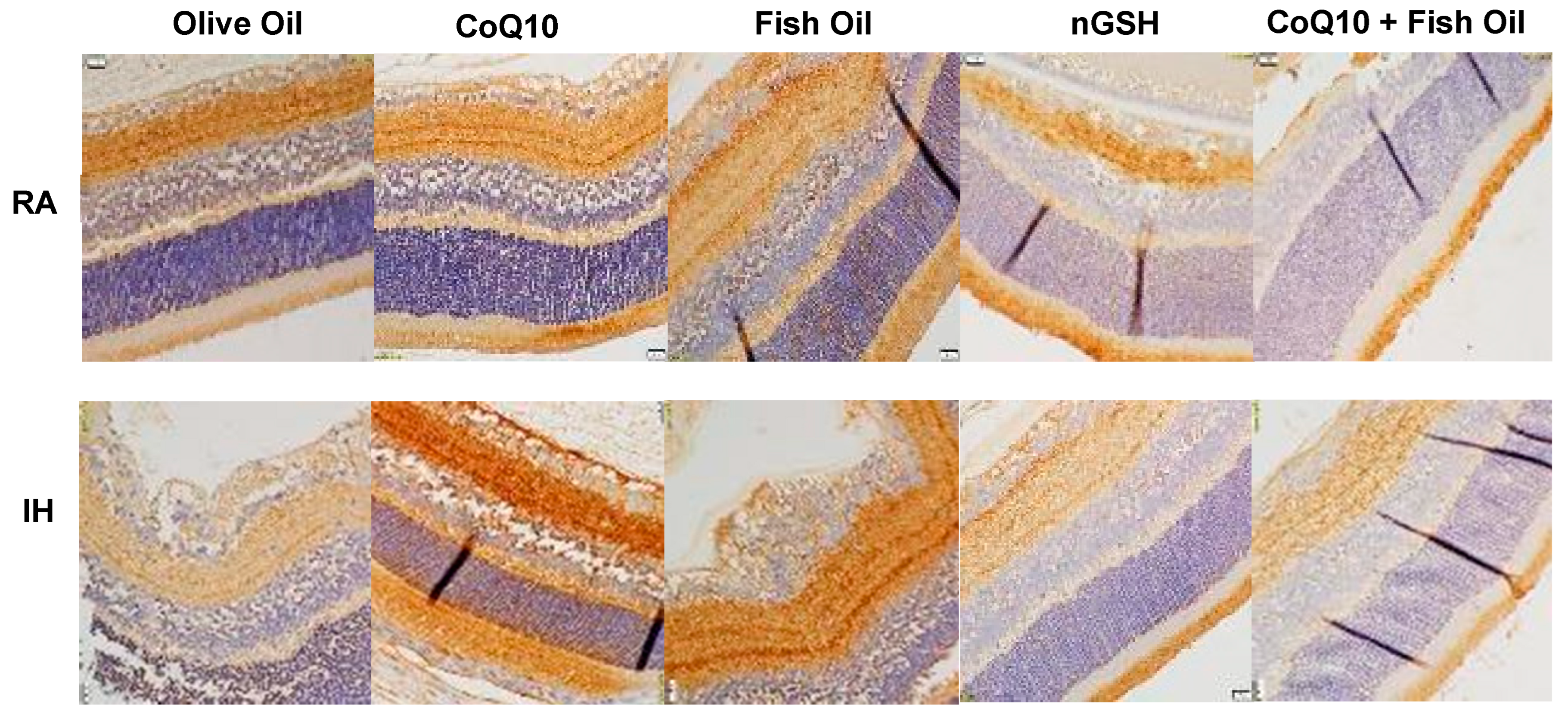 Pharmaceuticals 17 00381 g013