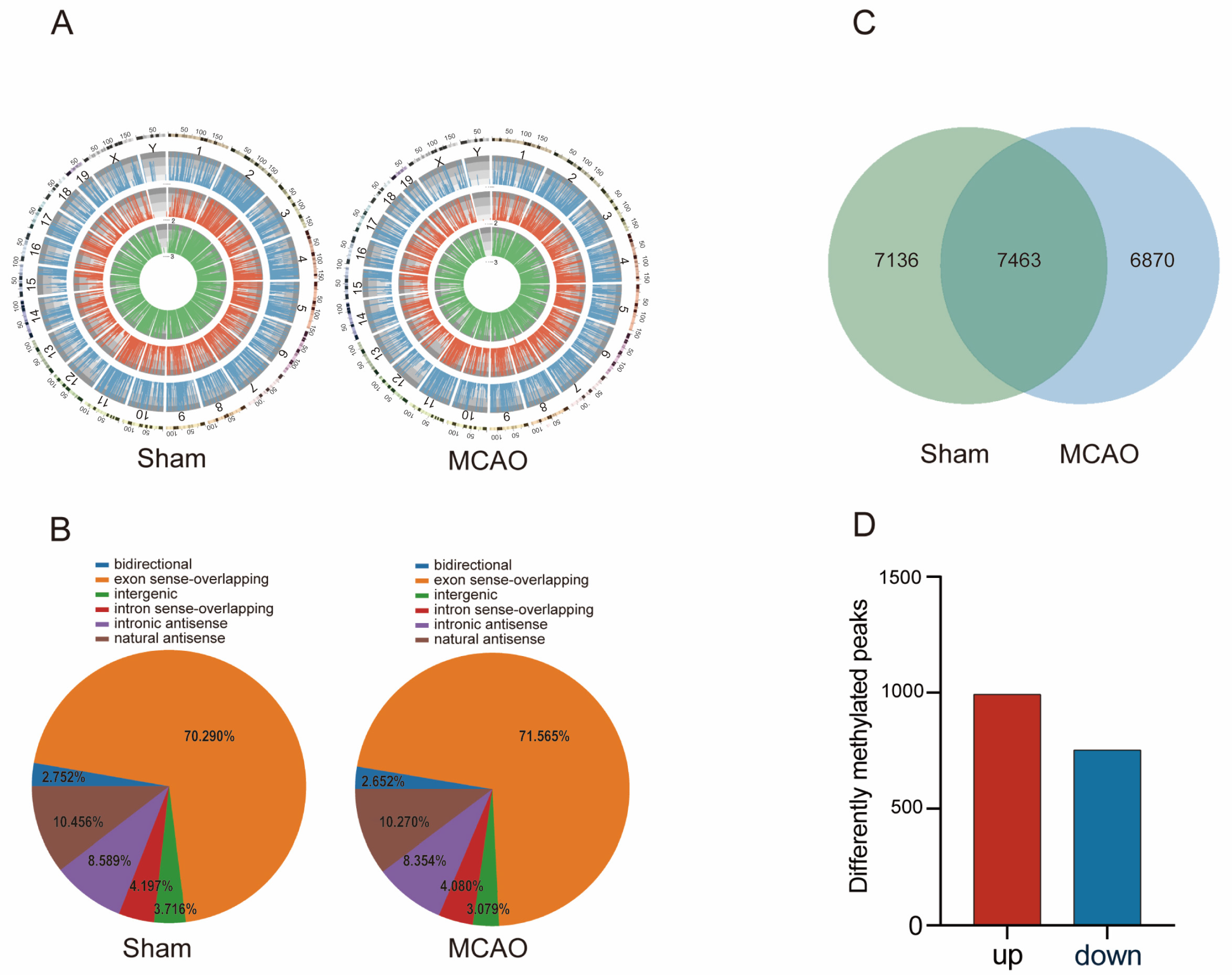 Pharmaceuticals 17 00384 g003