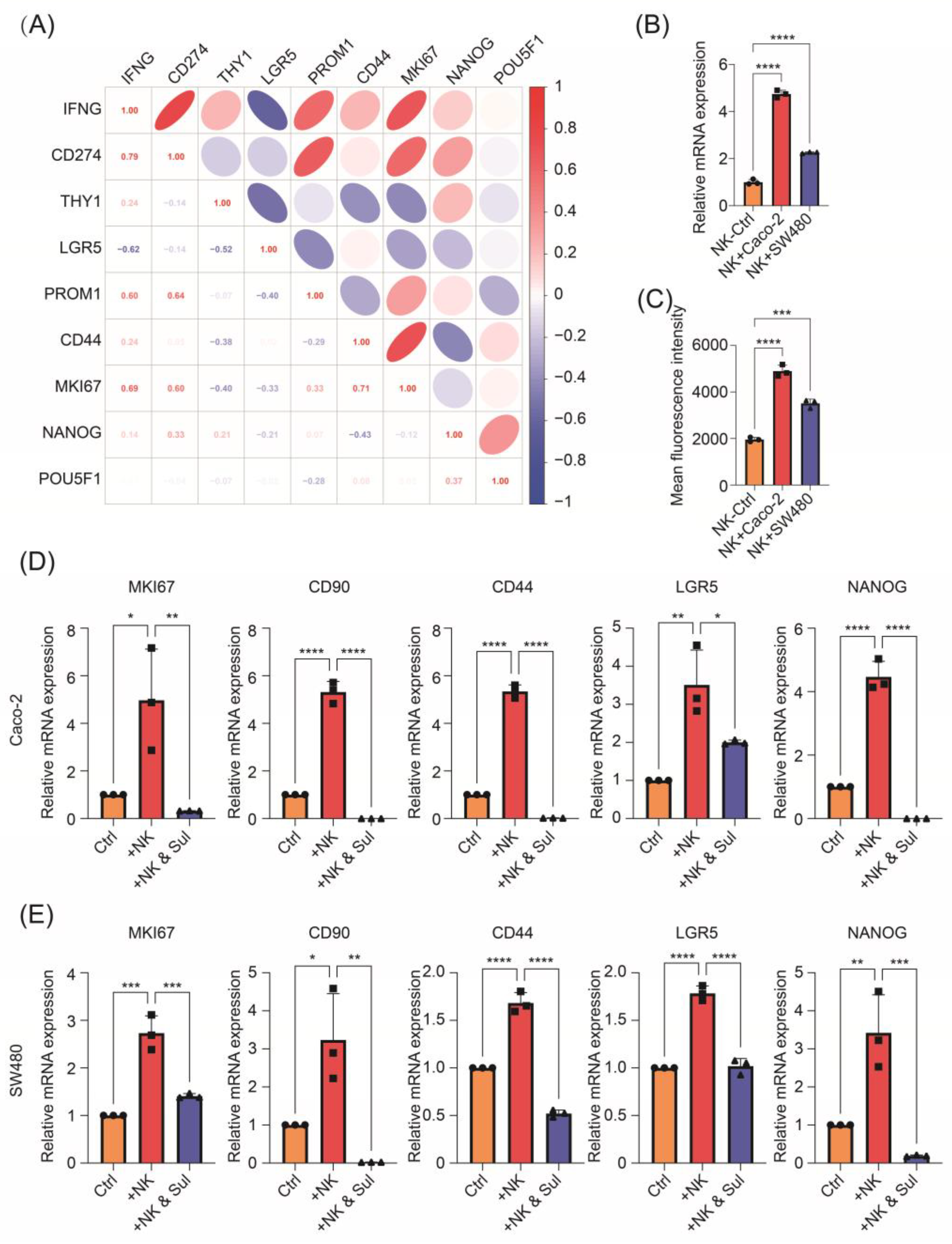 Pharmaceuticals 17 00387 g001
