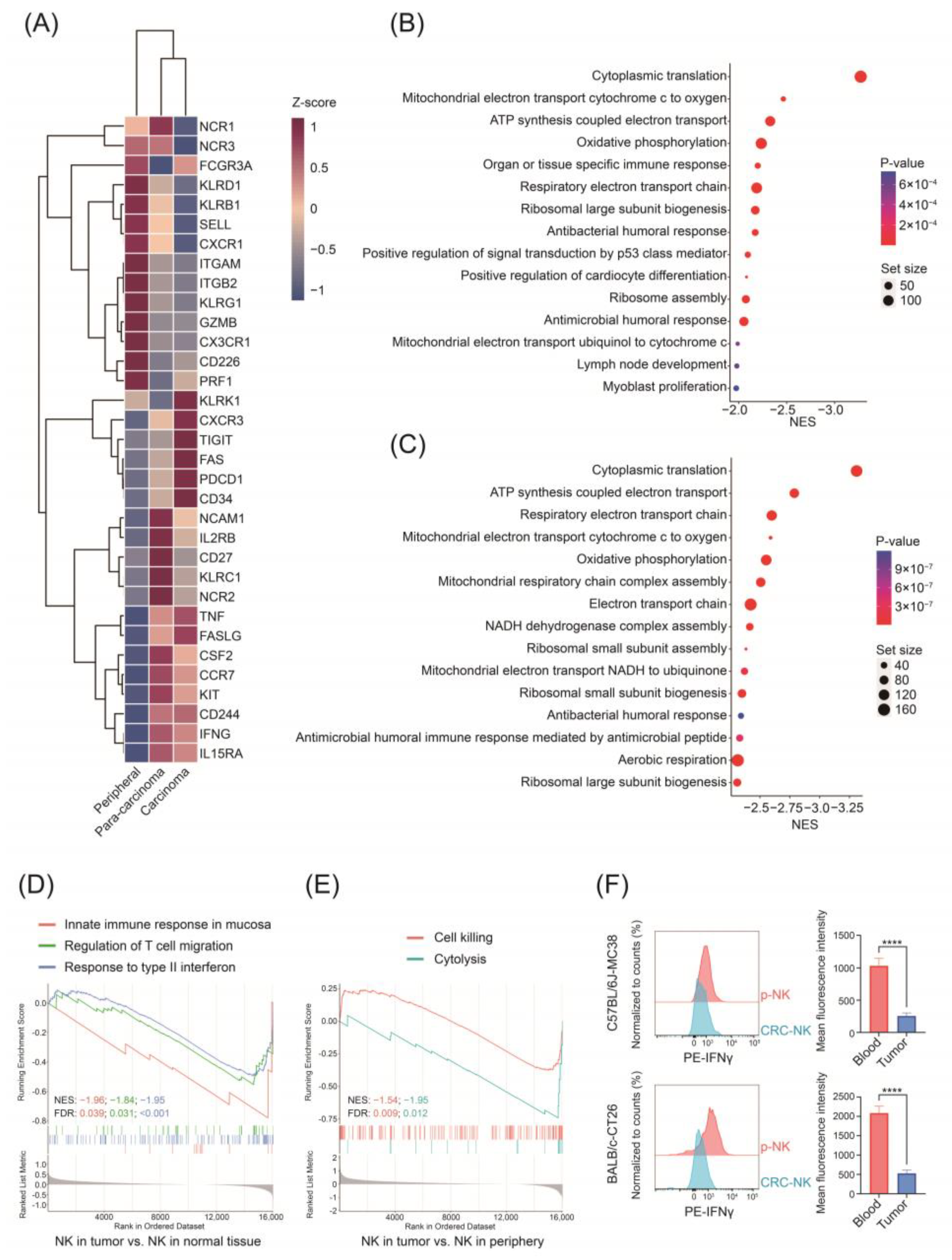 Pharmaceuticals 17 00387 g004