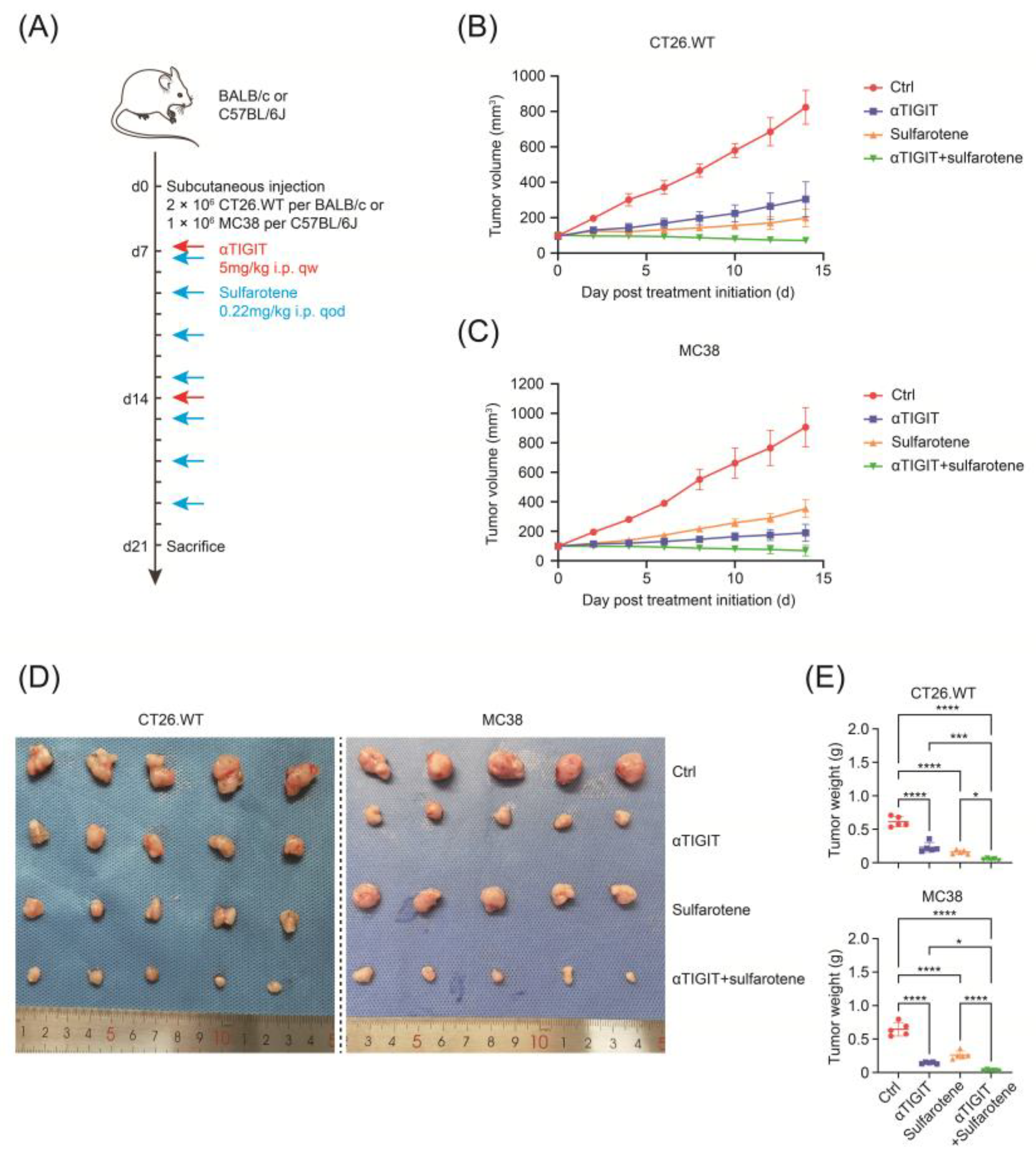 Pharmaceuticals 17 00387 g005