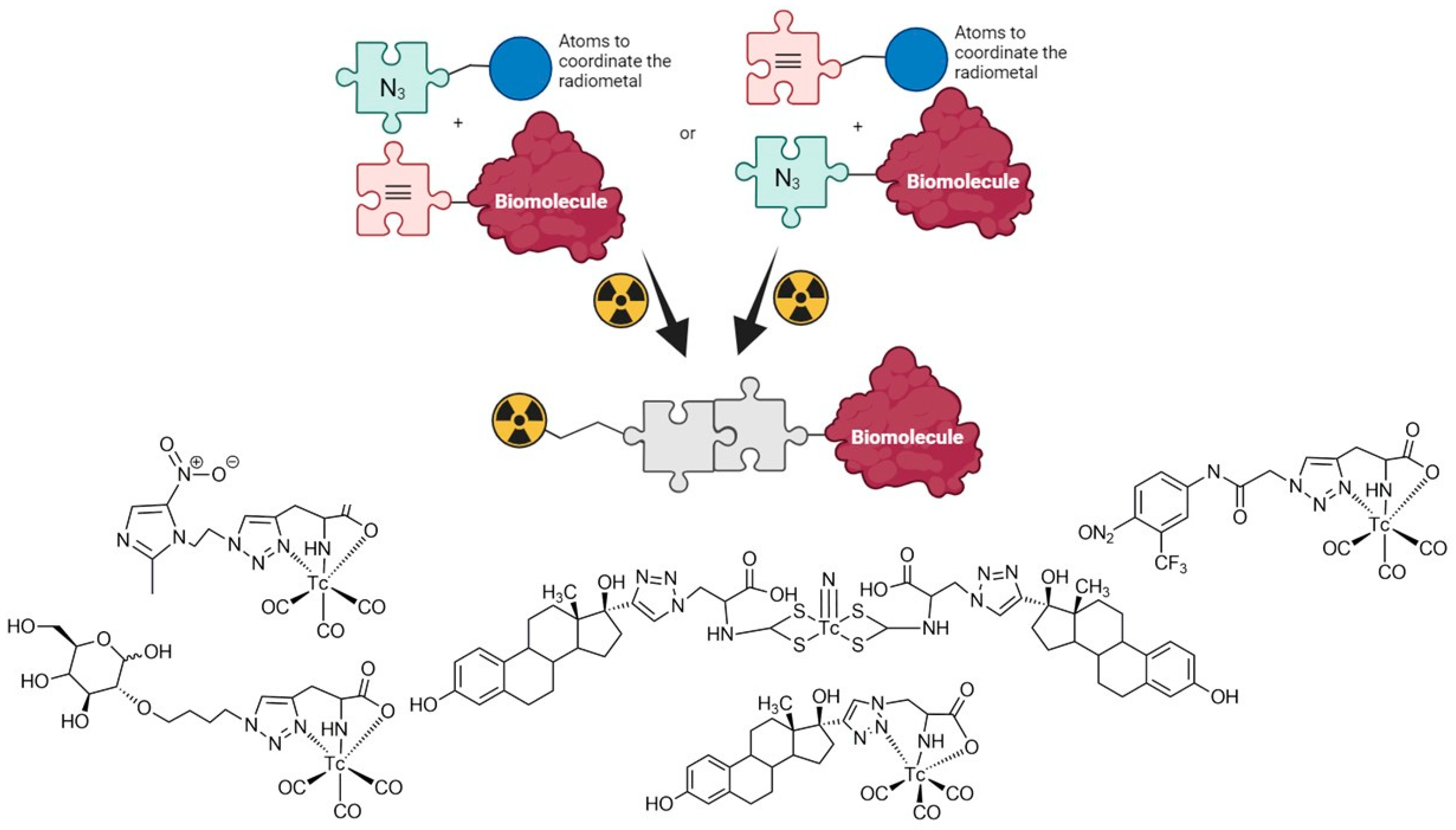 Pharmaceuticals 17 00388 g001