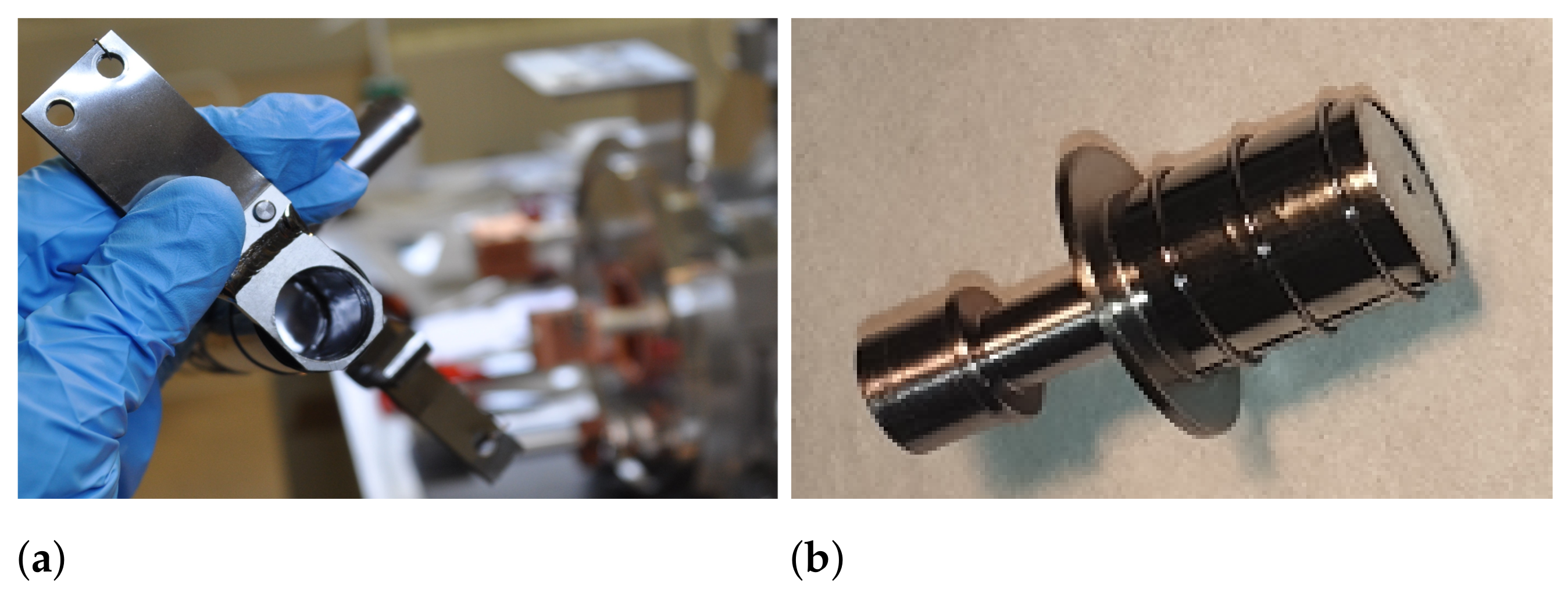 Pharmaceuticals 17 00390 g007