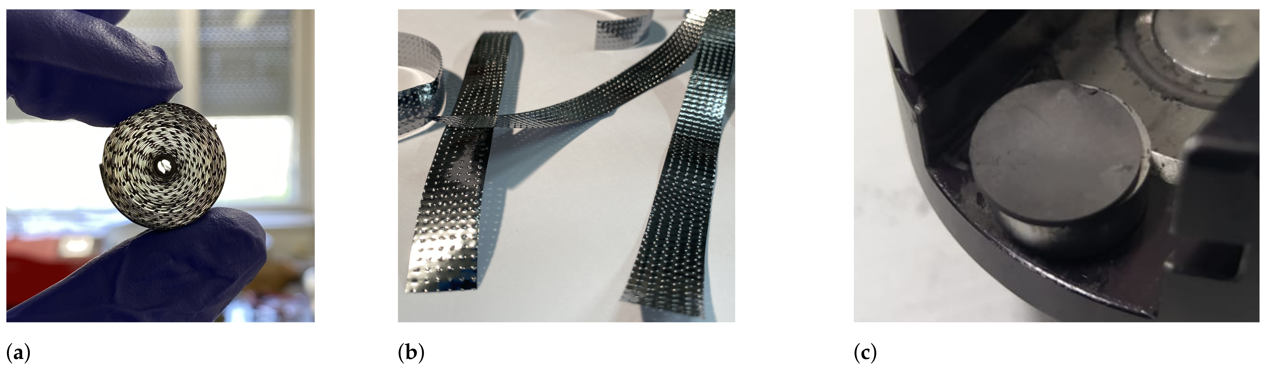 Pharmaceuticals 17 00390 g009