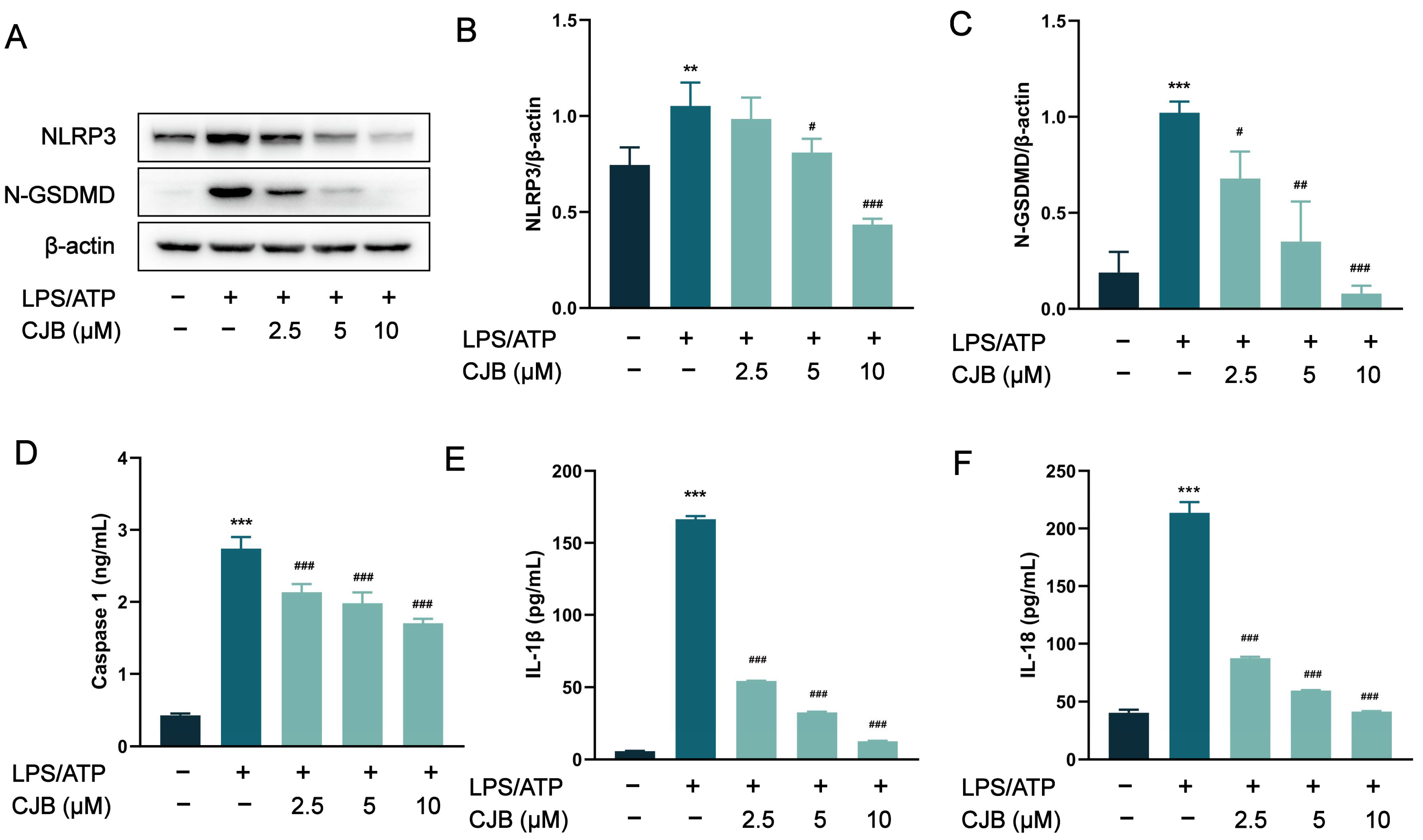 Pharmaceuticals 17 00402 g004