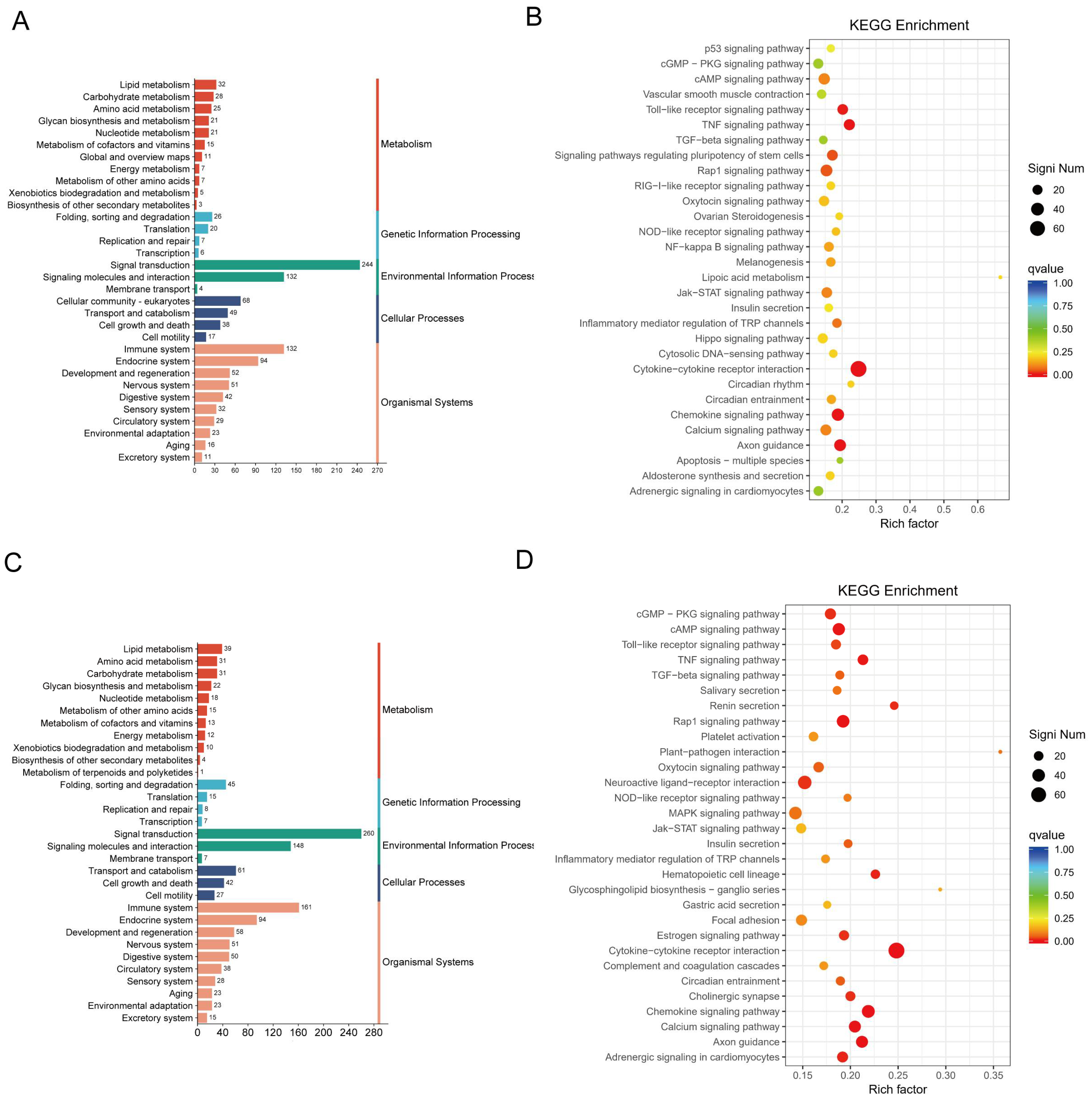 Pharmaceuticals 17 00402 g007