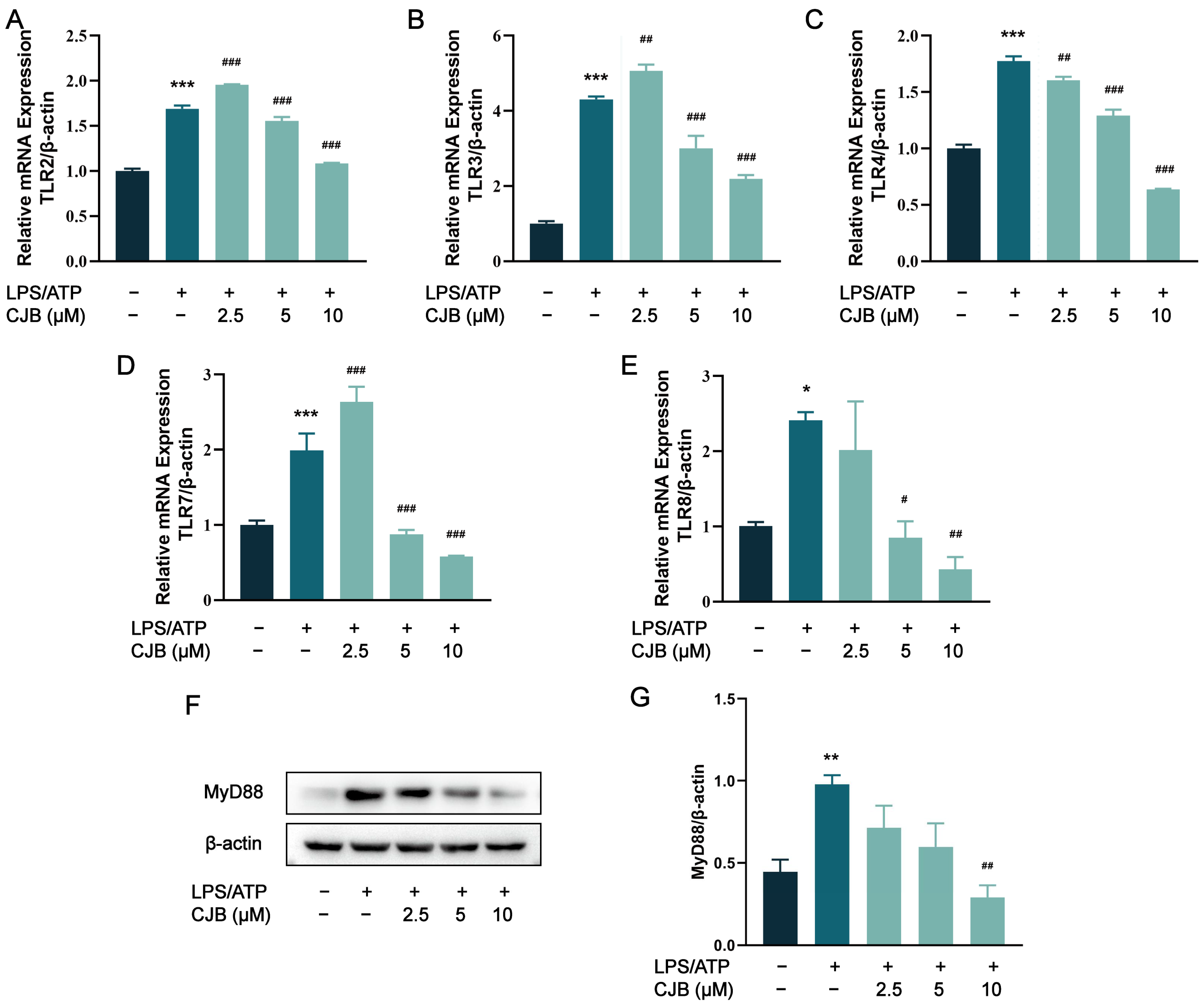 Pharmaceuticals 17 00402 g008