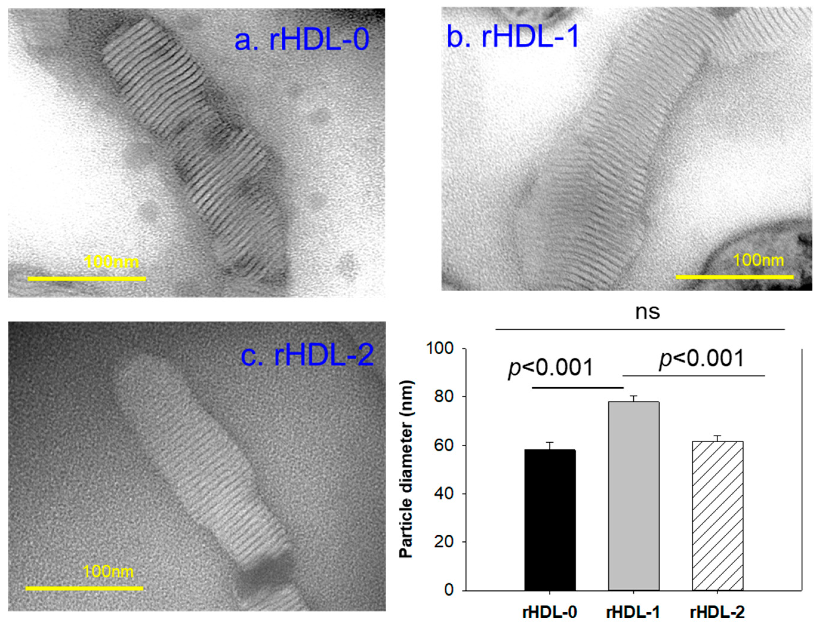 Pharmaceuticals 17 00406 g002