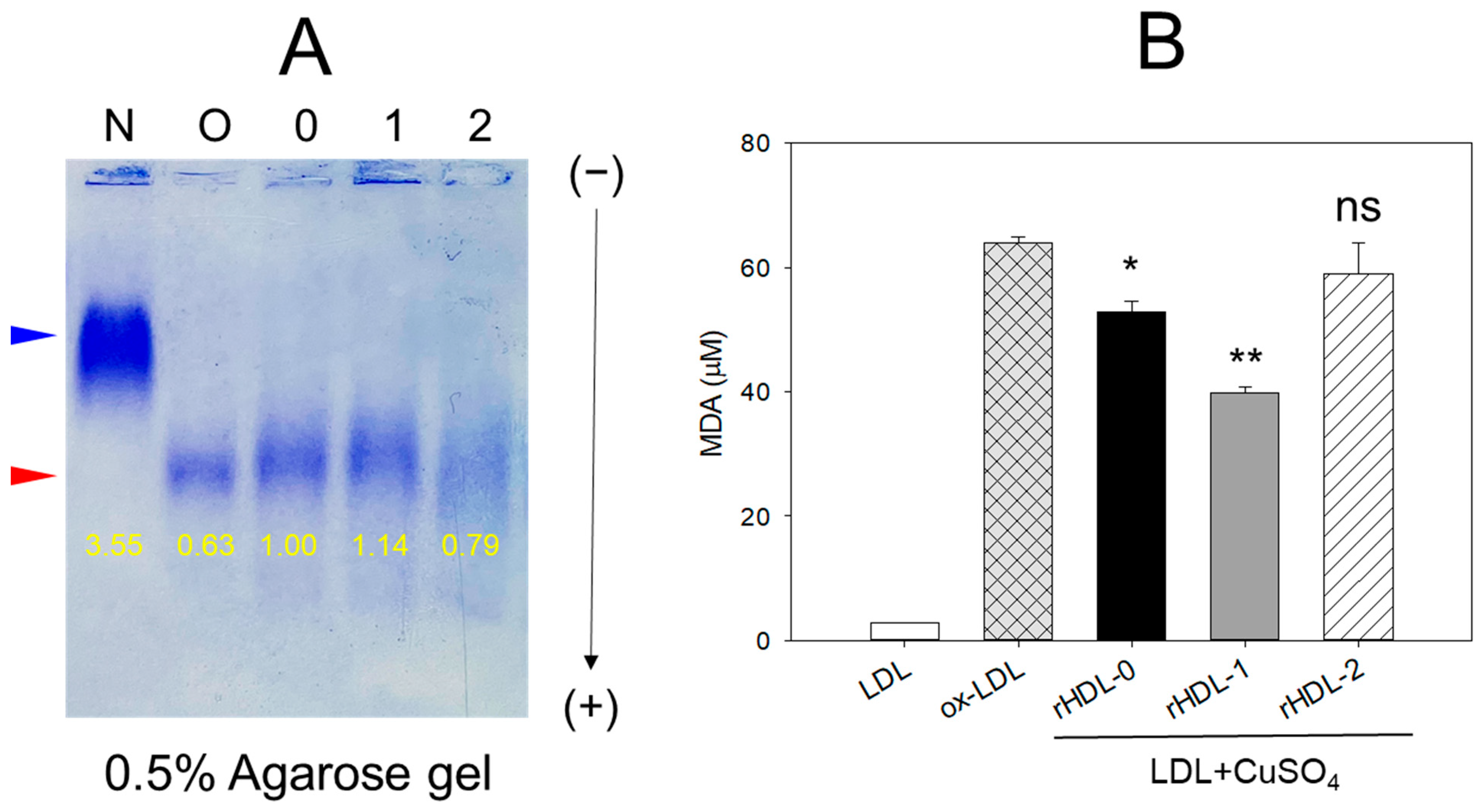 Pharmaceuticals 17 00406 g003