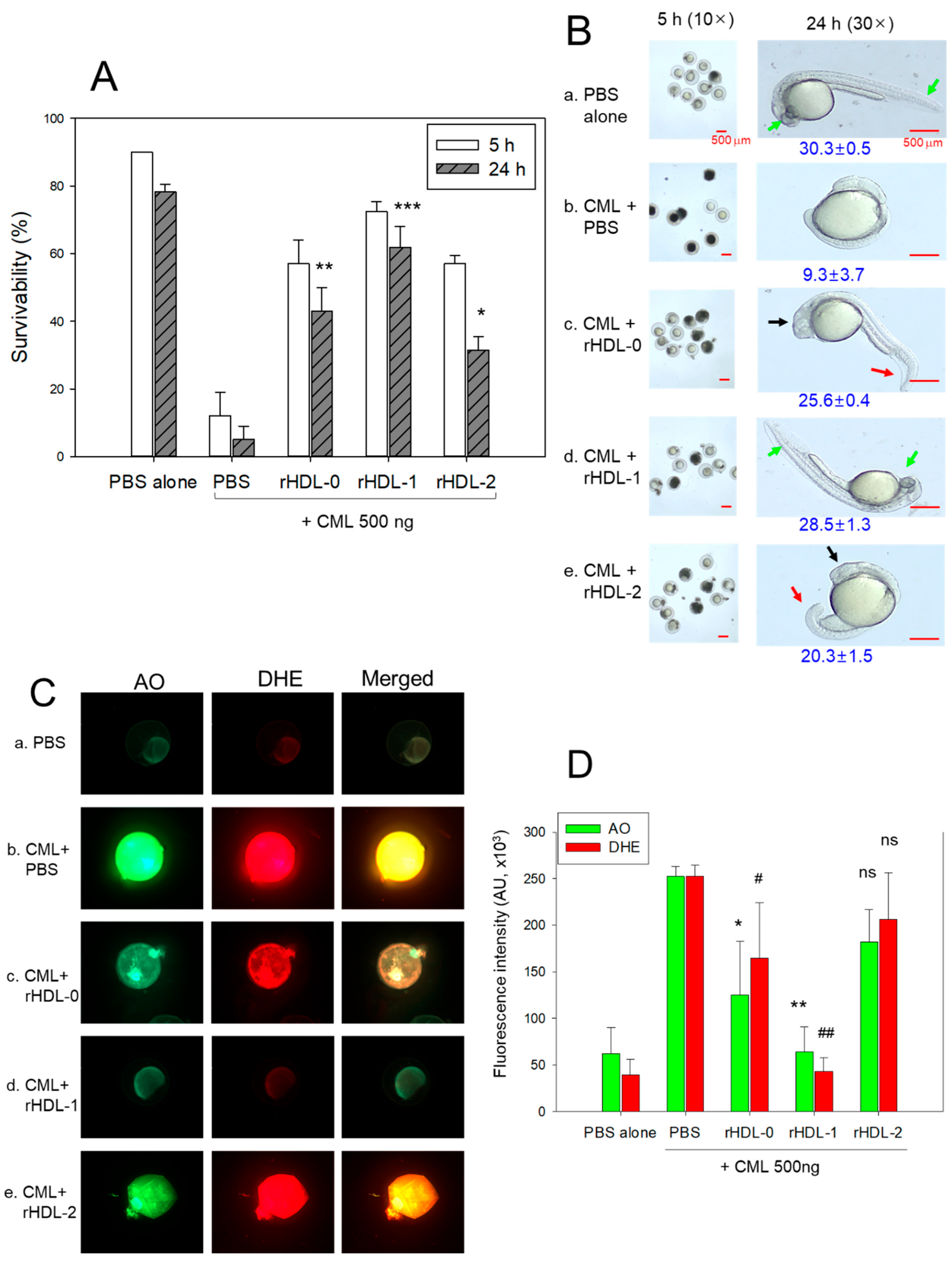 Pharmaceuticals 17 00406 g005