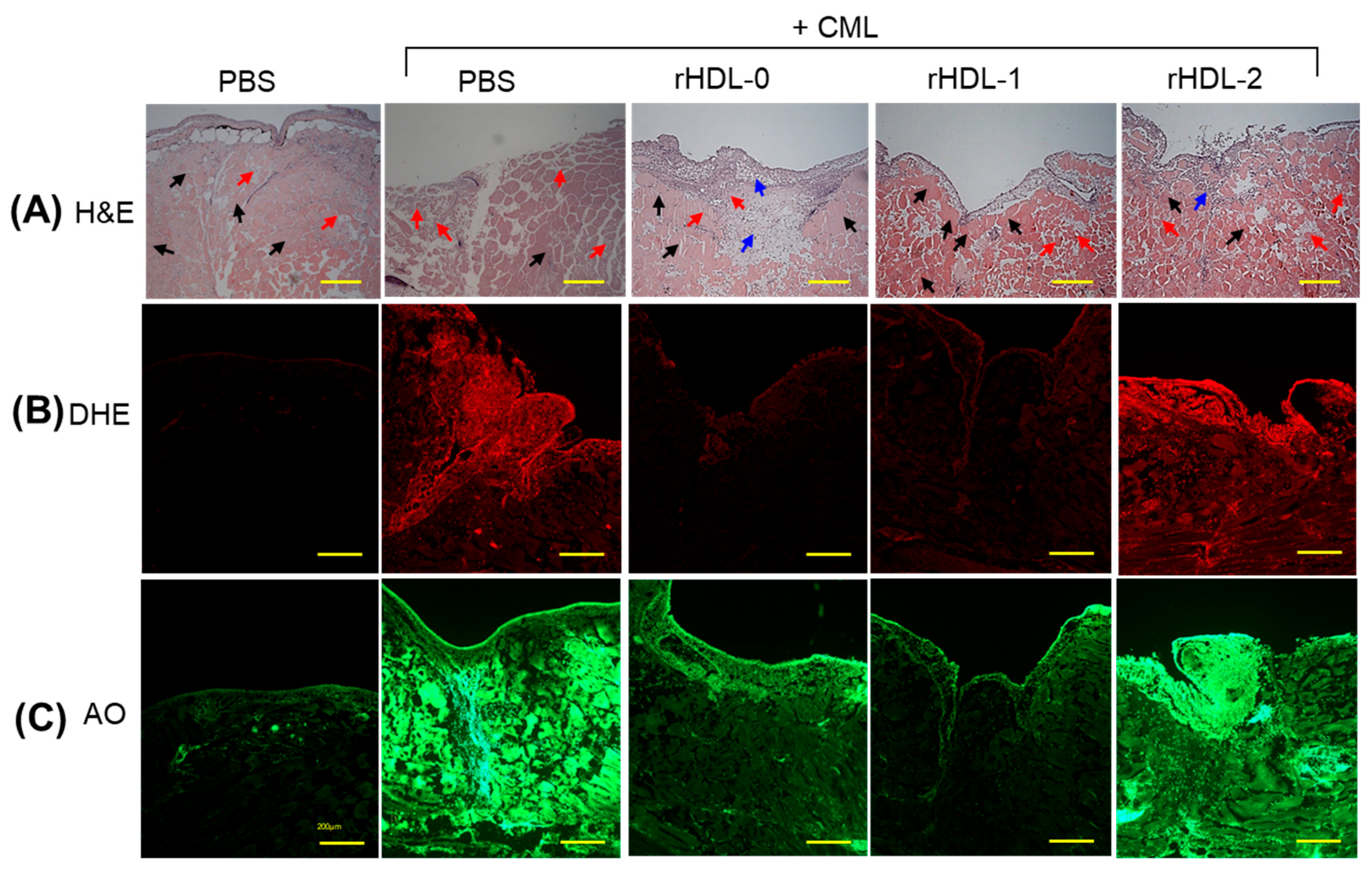 Pharmaceuticals 17 00406 g007a