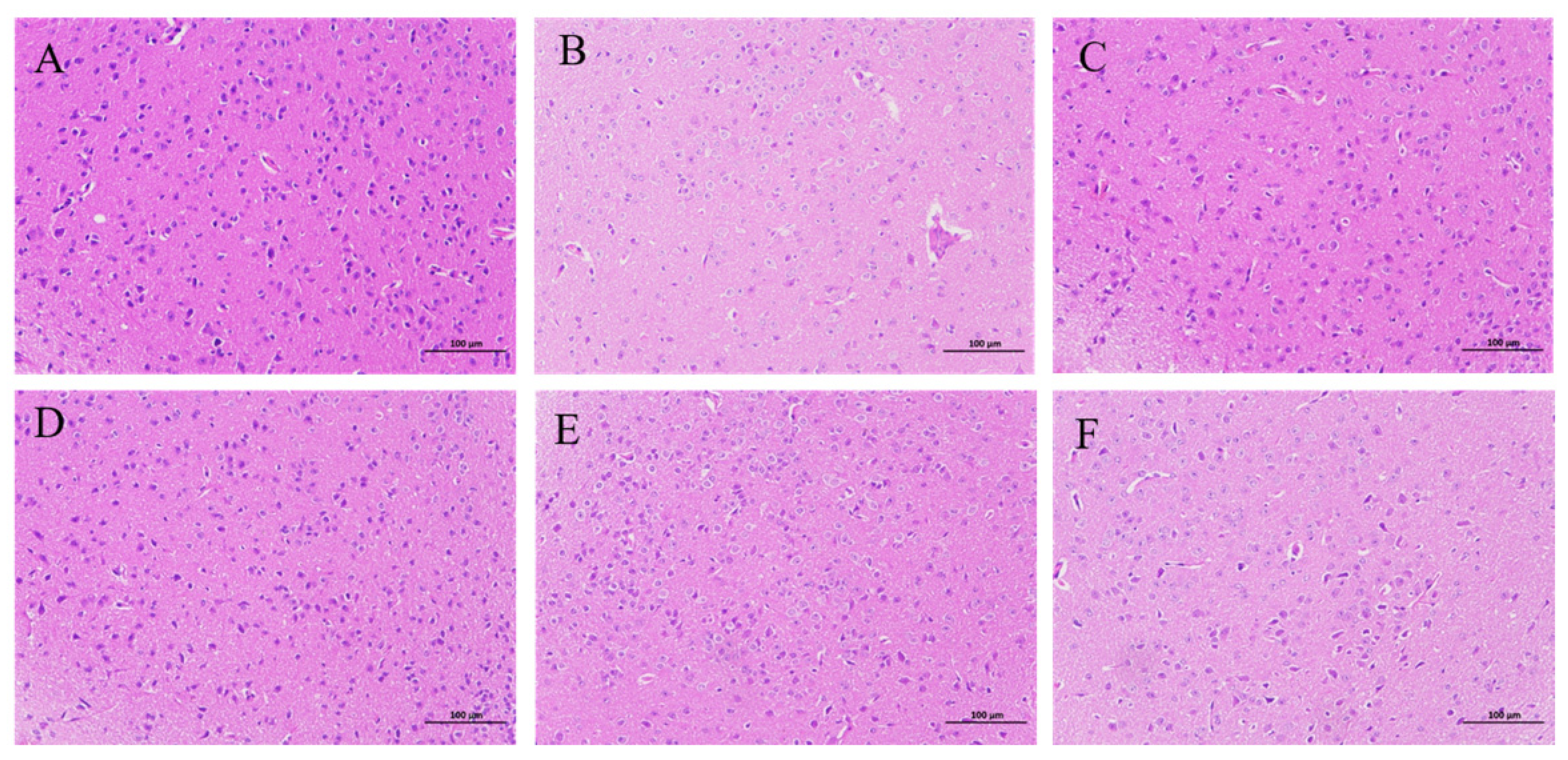 Pharmaceuticals 17 00413 g002