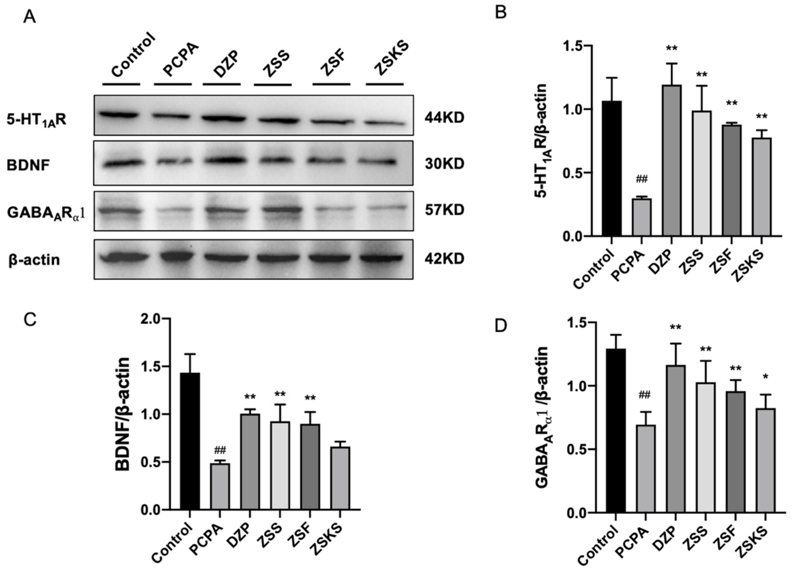 Pharmaceuticals 17 00413 g005