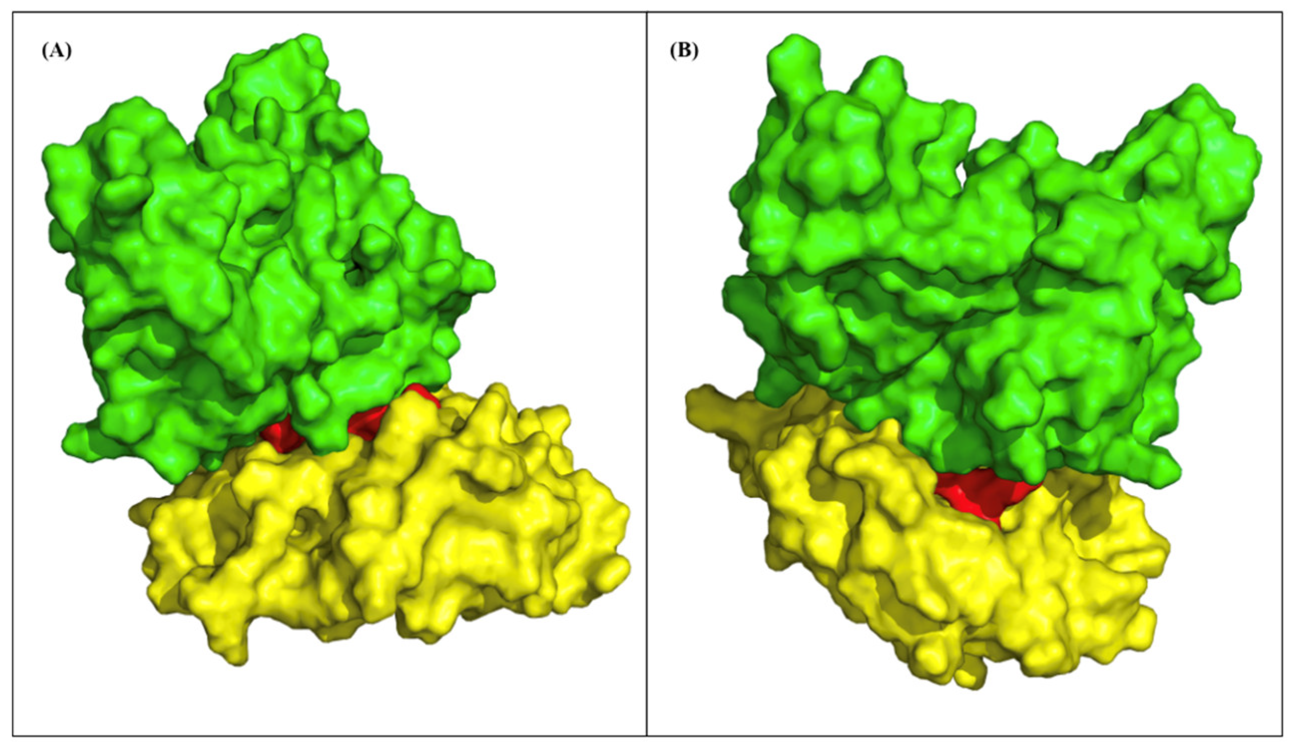 Pharmaceuticals 17 00419 g006
