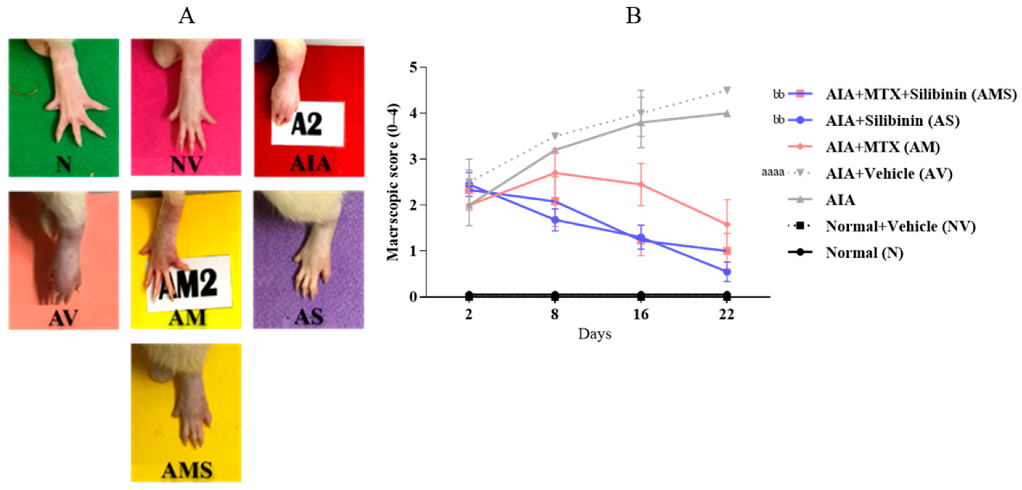 Pharmaceuticals 17 00431 g002