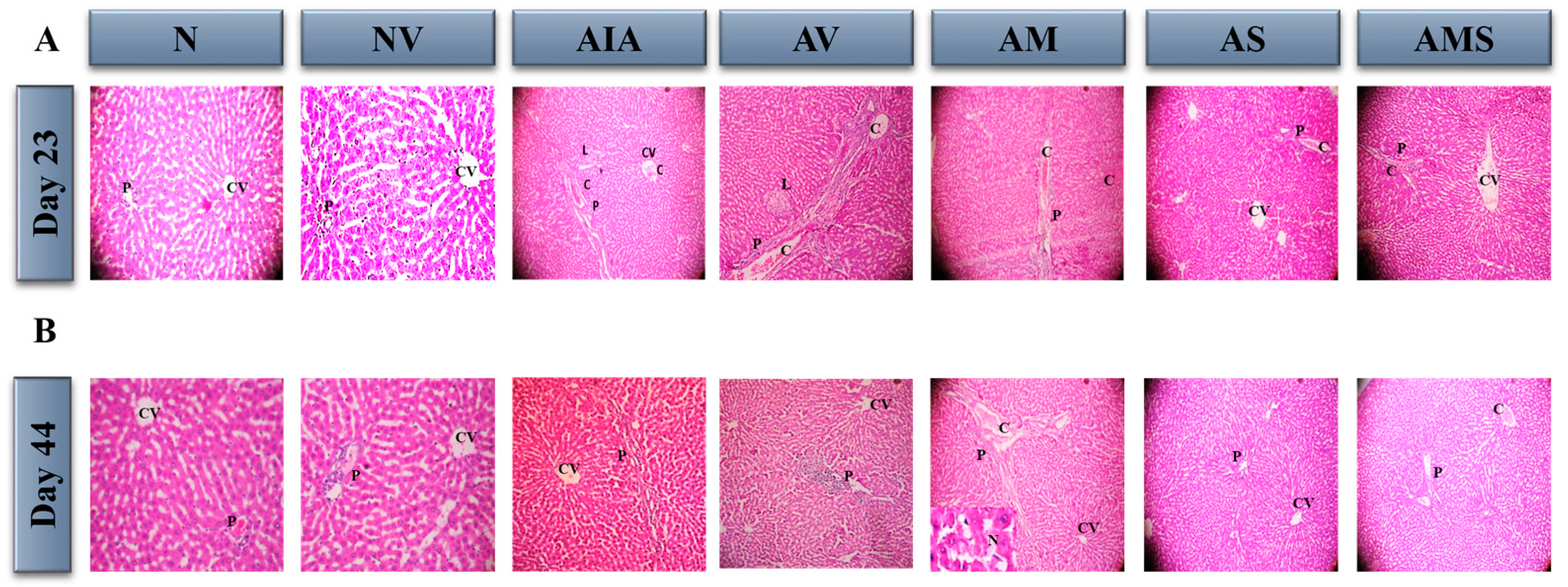 Pharmaceuticals 17 00431 g005