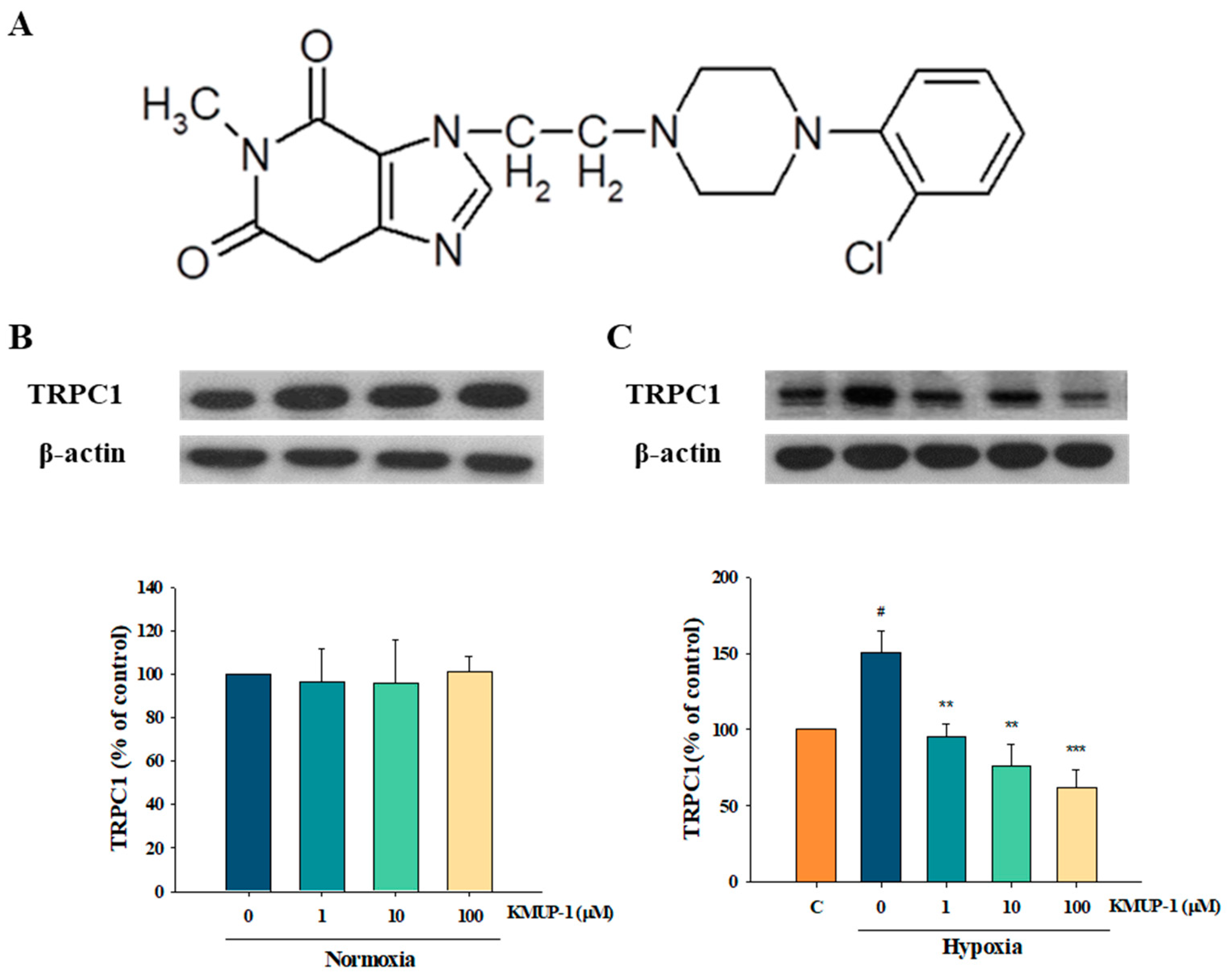 Pharmaceuticals 17 00440 g001