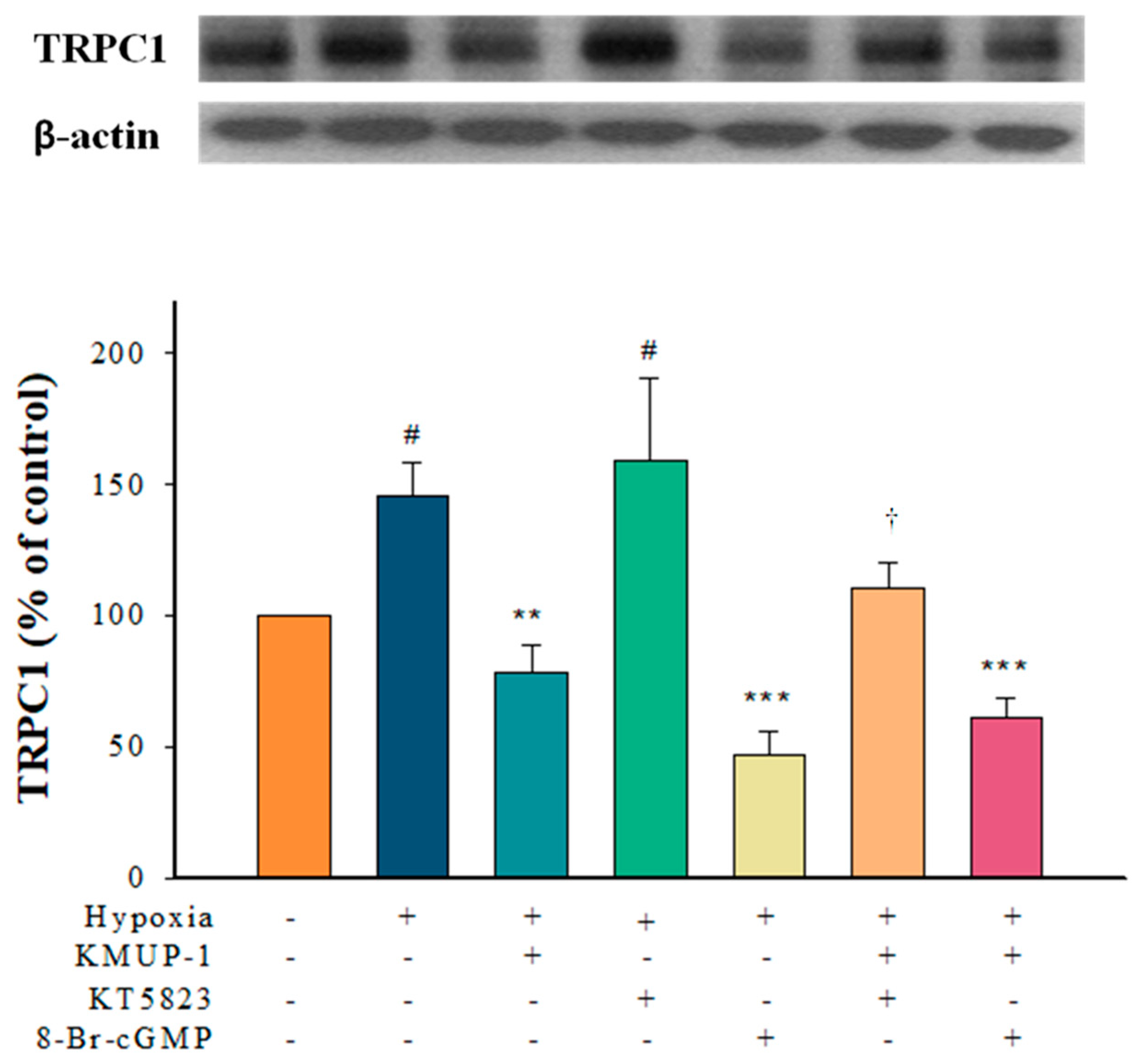 Pharmaceuticals 17 00440 g002