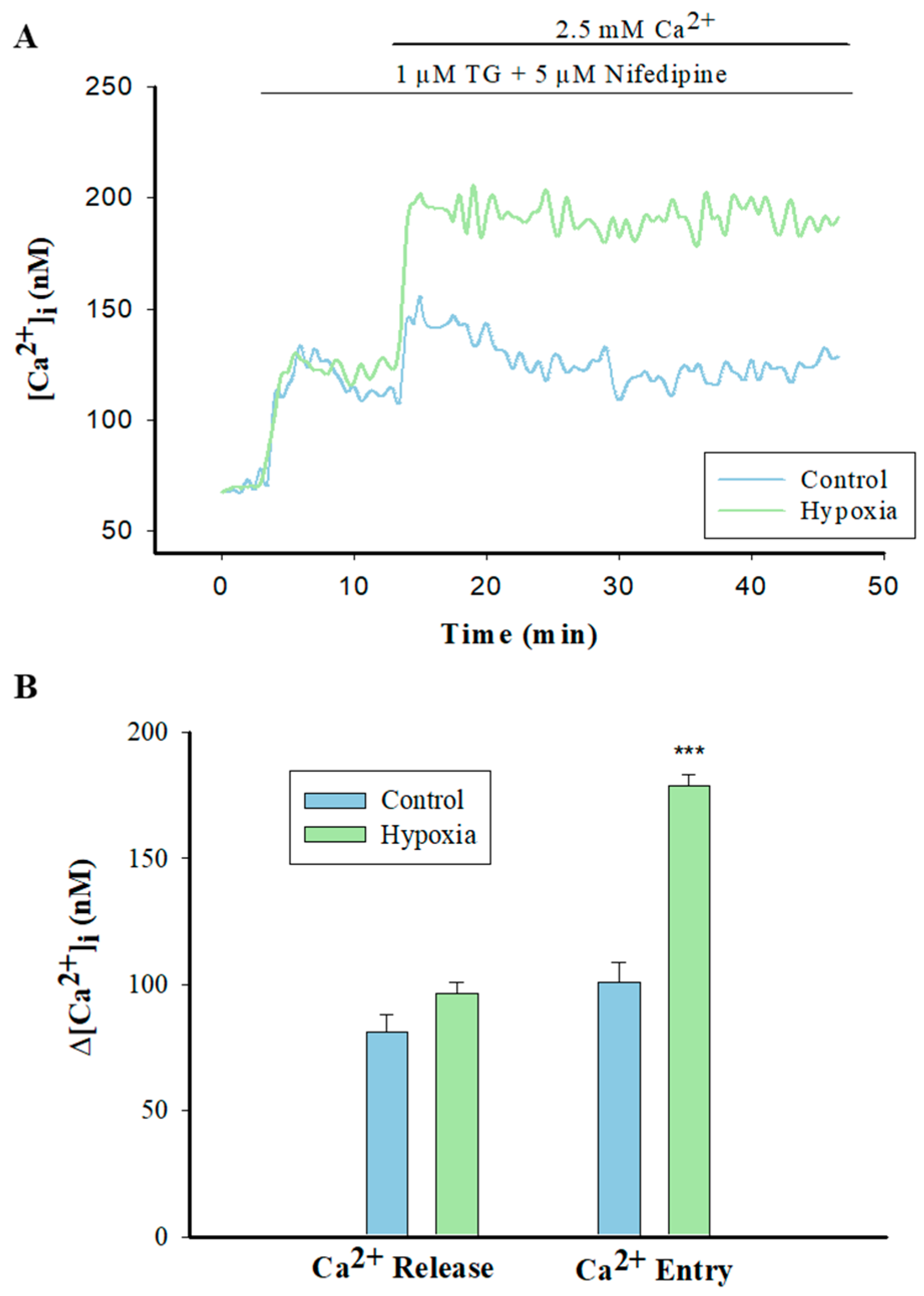 Pharmaceuticals 17 00440 g005