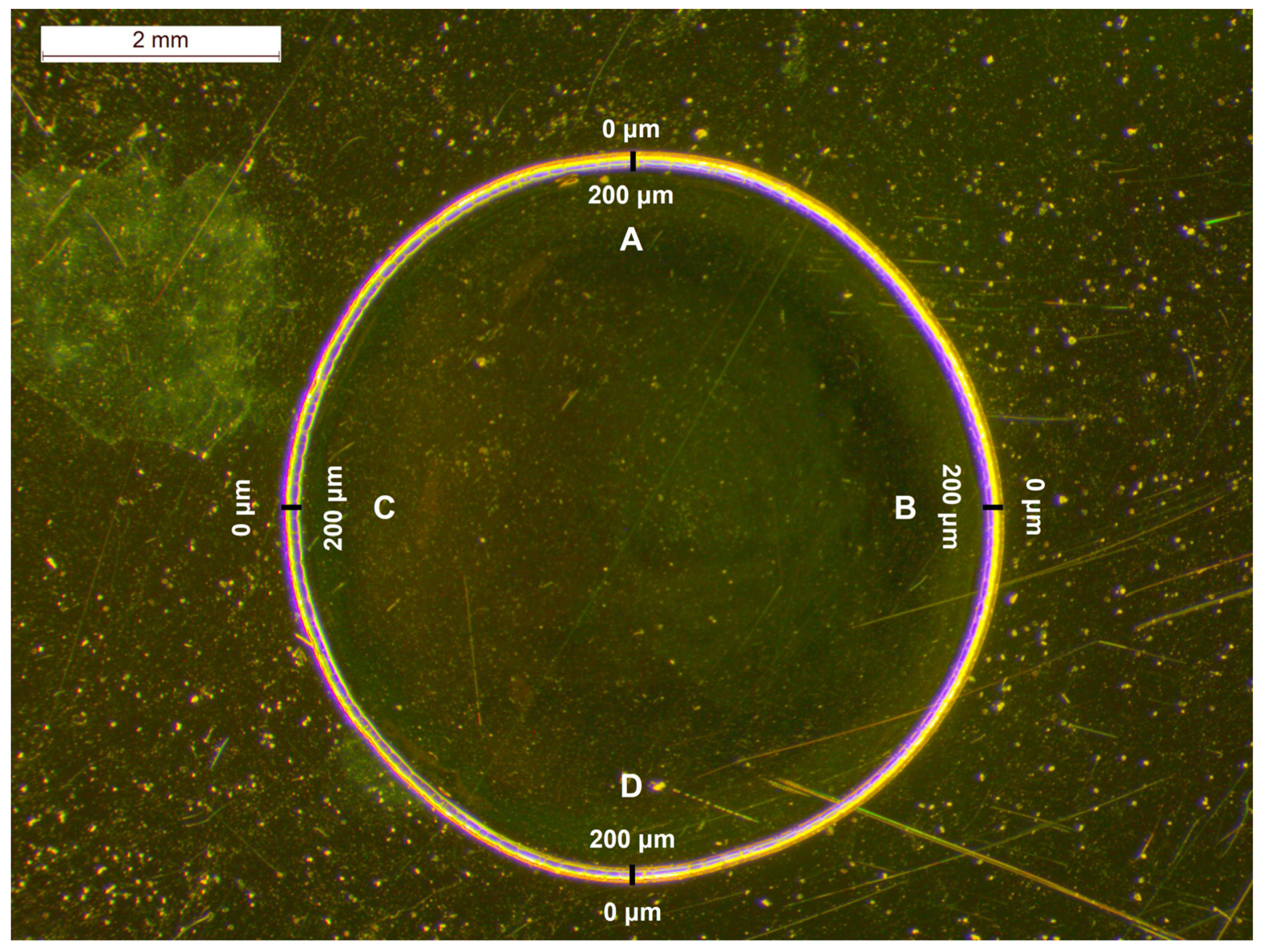 Pharmaceuticals 17 00446 g005