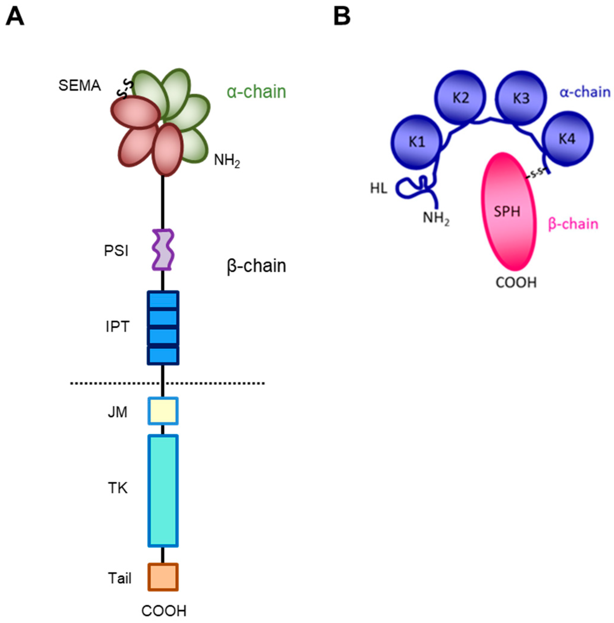 Pharmaceuticals 17 00448 g001
