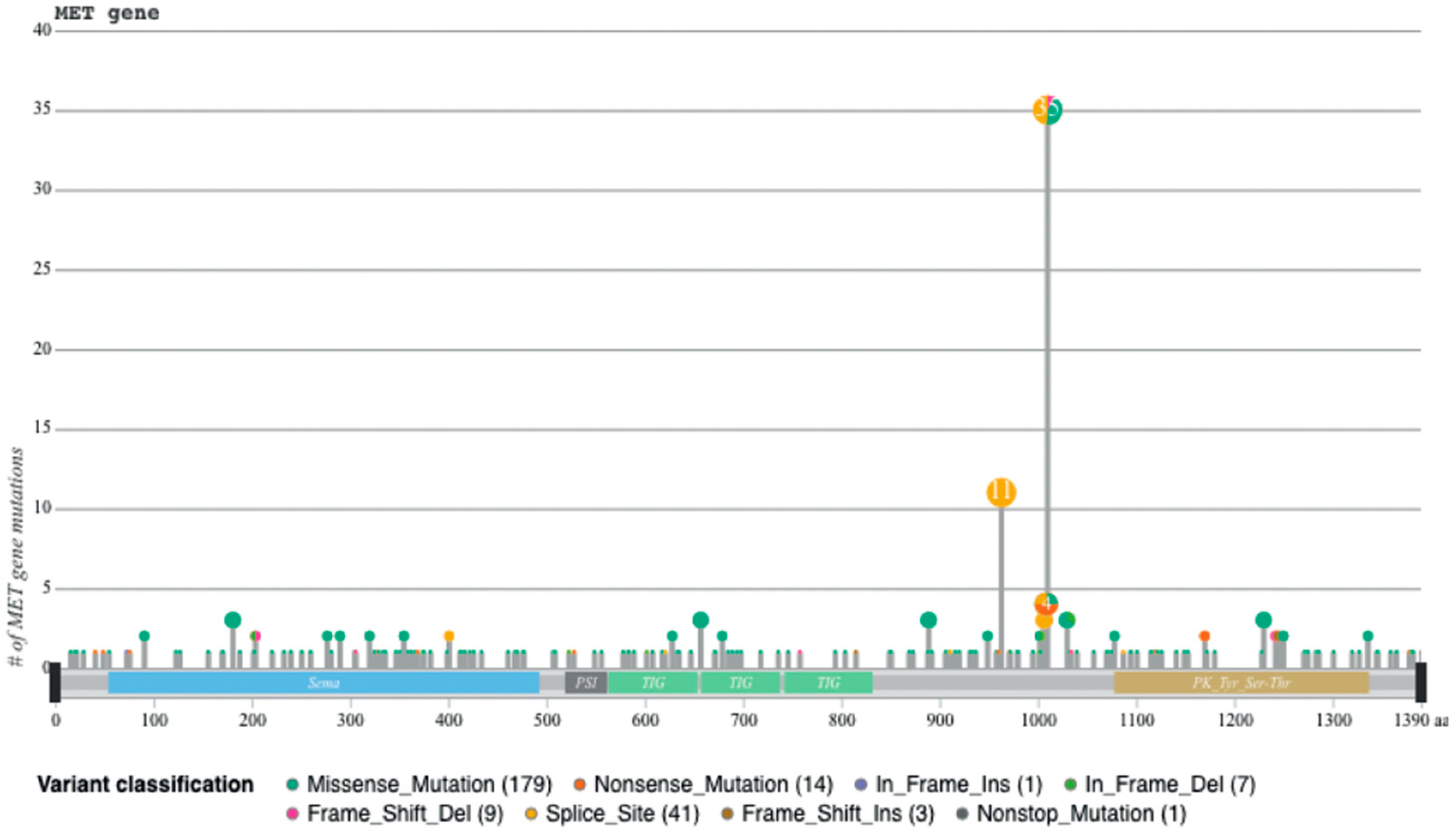 Pharmaceuticals 17 00448 g003