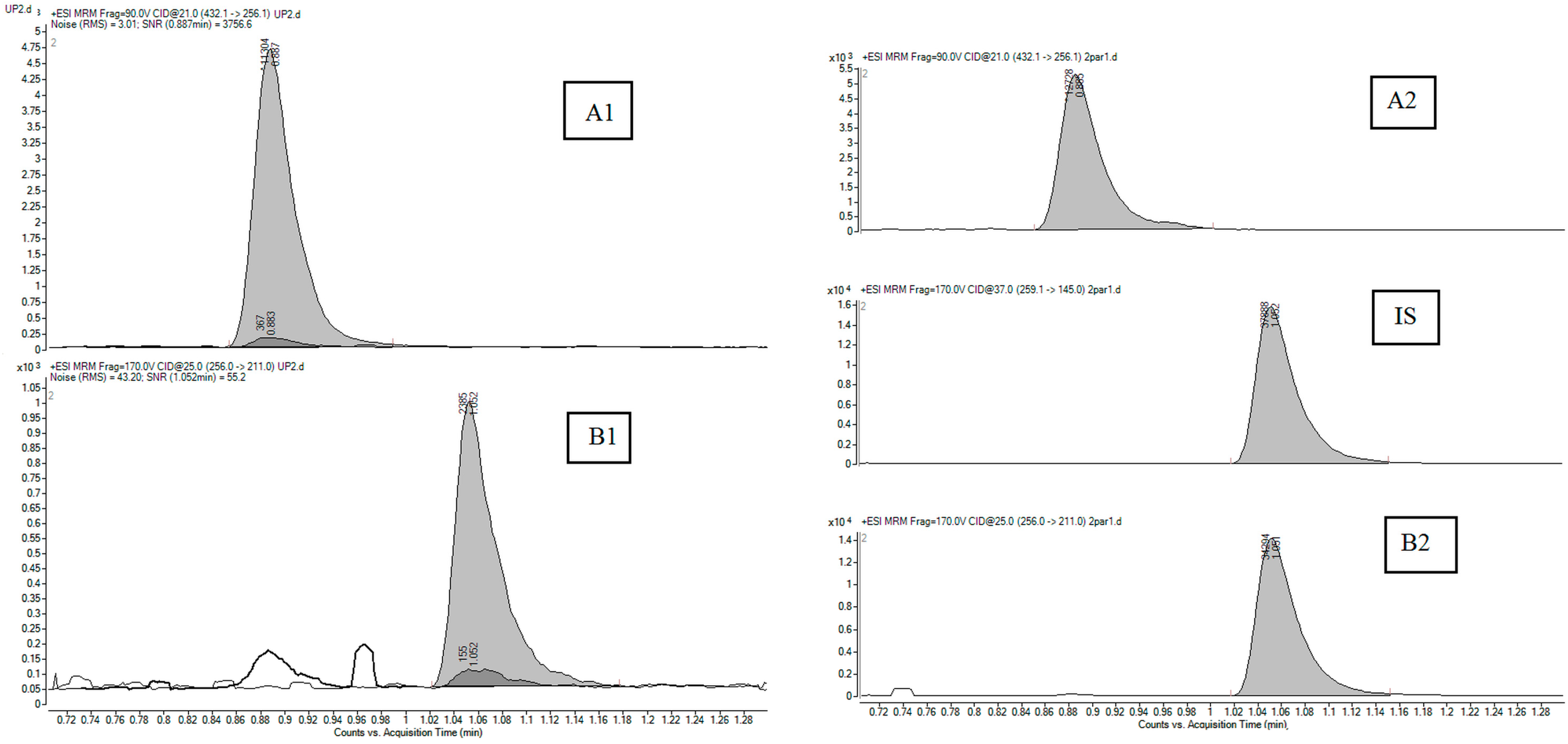 Pharmaceuticals 17 00449 g002