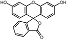 Pharmaceuticals 17 00453 i006 Pharmaceuticals 17 00453 i006