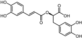 Pharmaceuticals 17 00453 i013 Pharmaceuticals 17 00453 i013