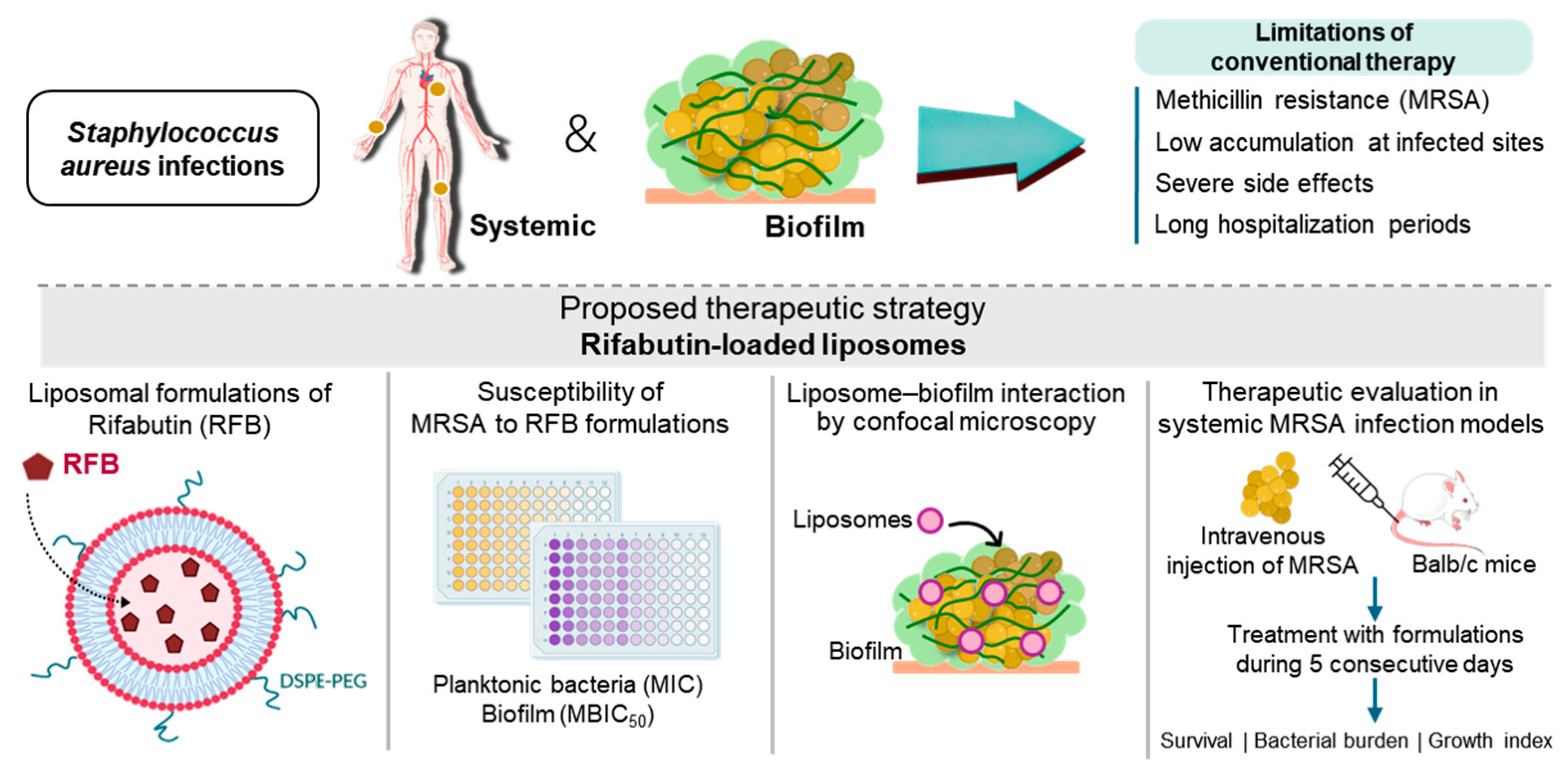 Pharmaceuticals 17 00470 g001