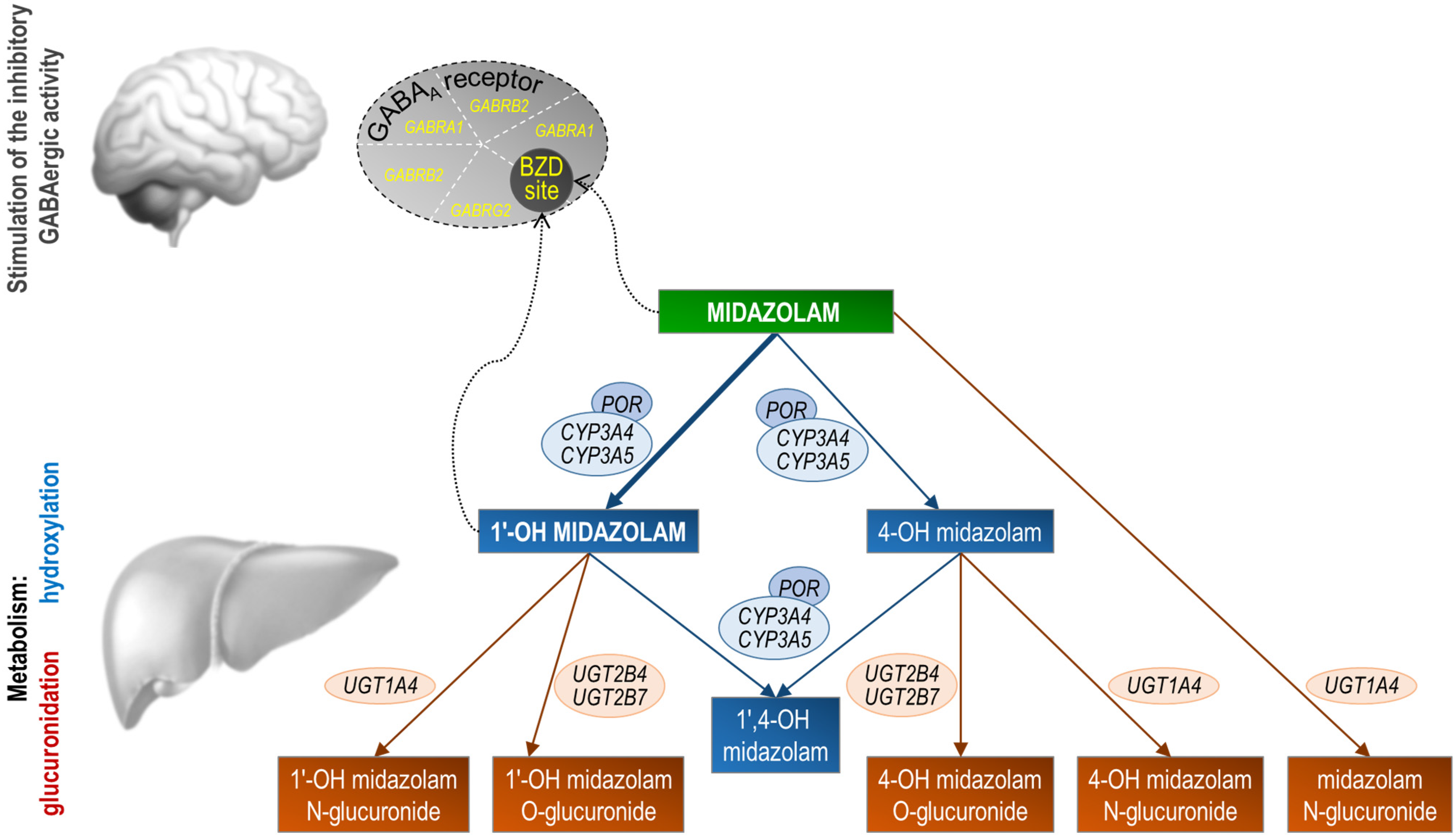 Pharmaceuticals 17 00473 g001